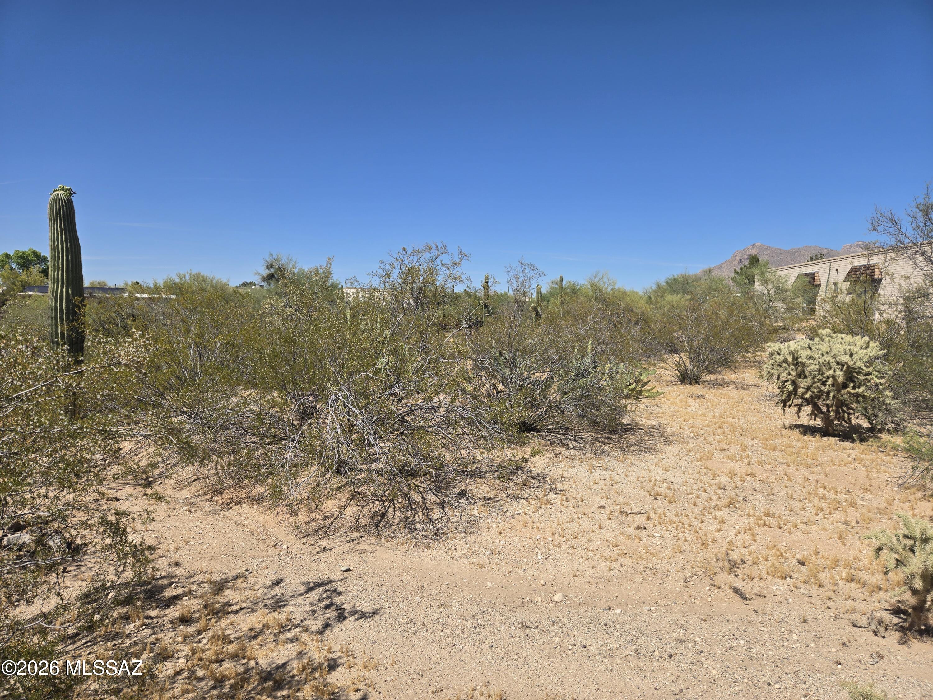 Oracle Foothills Estates NO. 6 (24-34, 38-130) - Residential