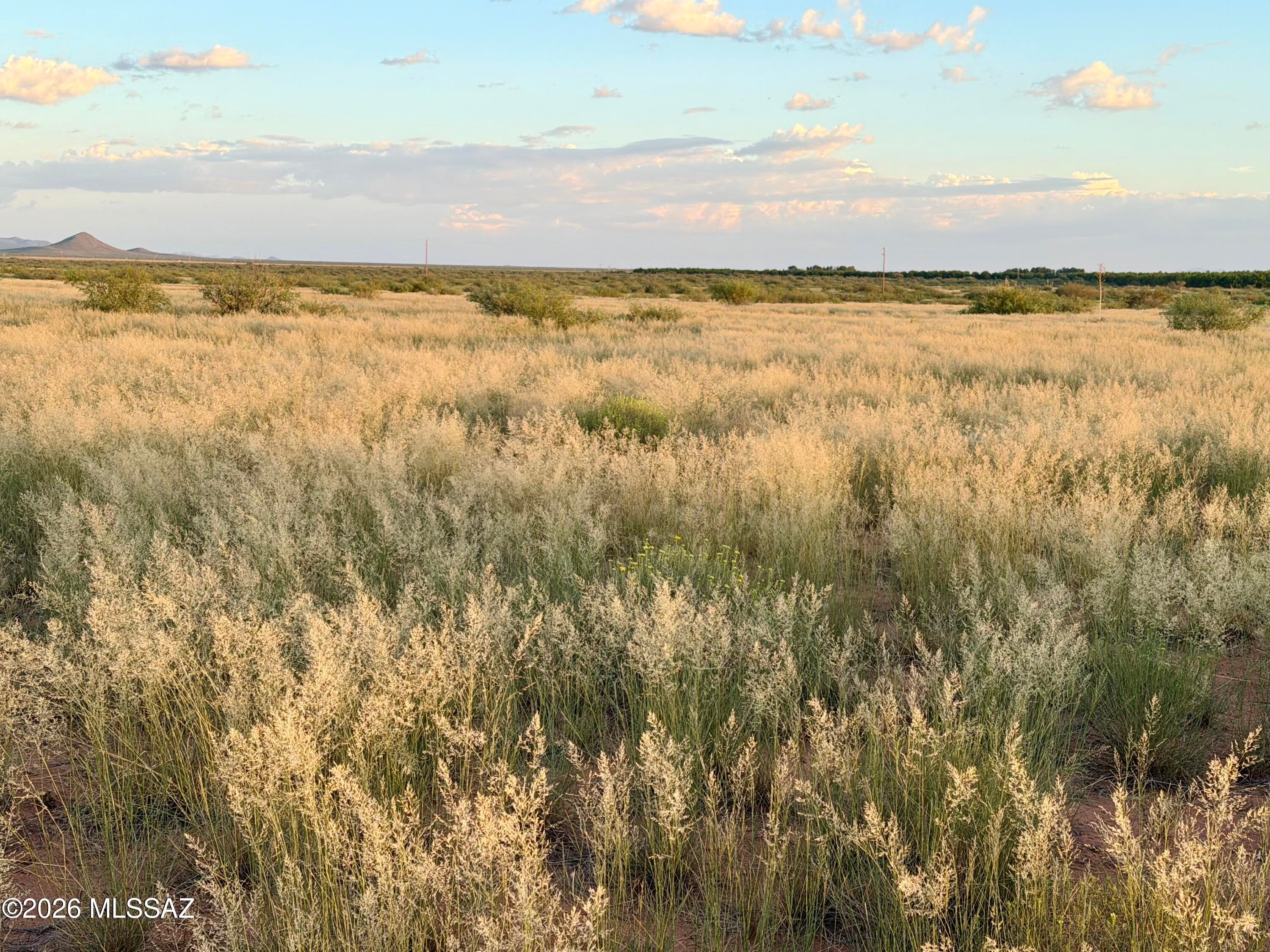 80 Acres Wozniak Road