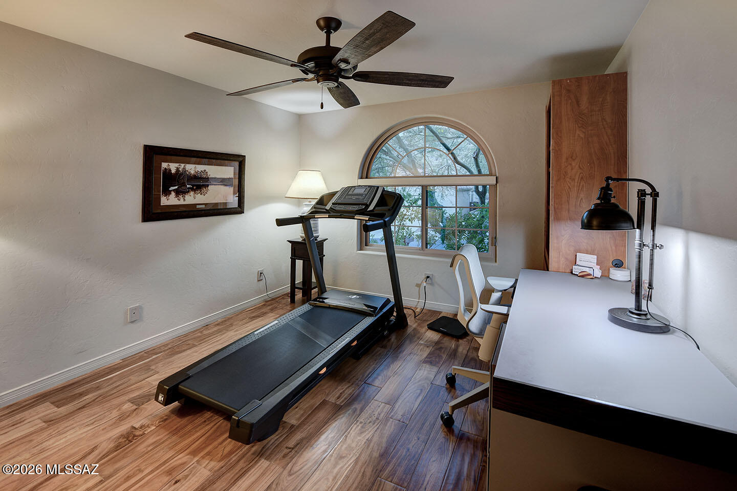 Sabino Mountain (1-290) - Residential