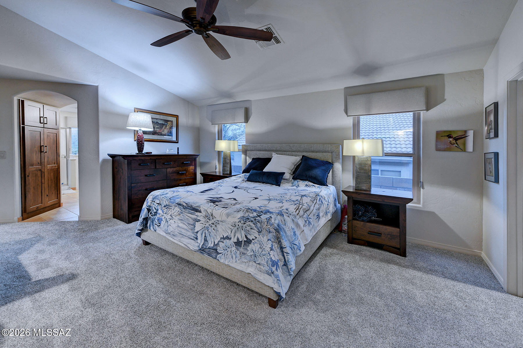 Sabino Mountain (1-290) - Residential