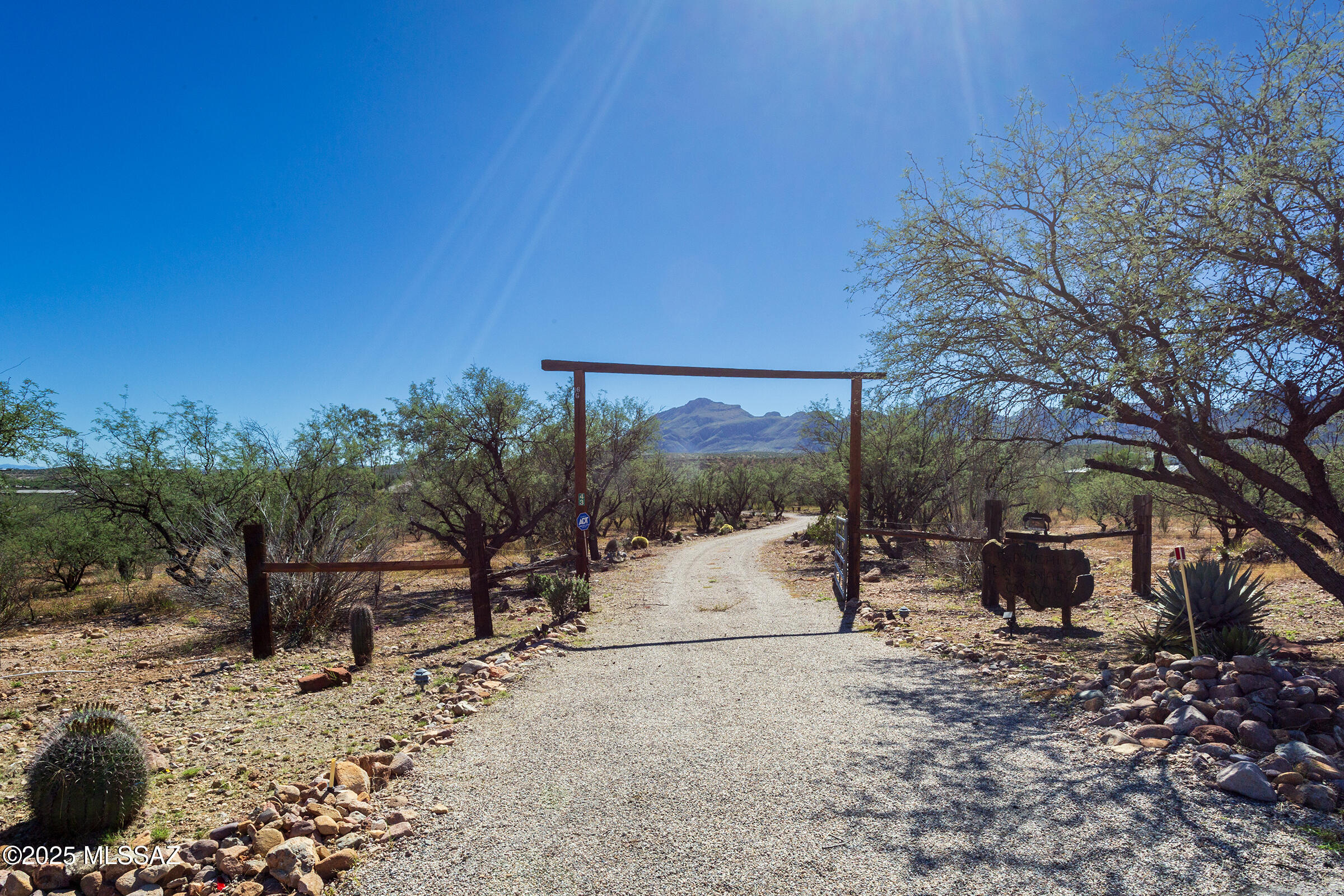 Empty Saddle Estates - Residential