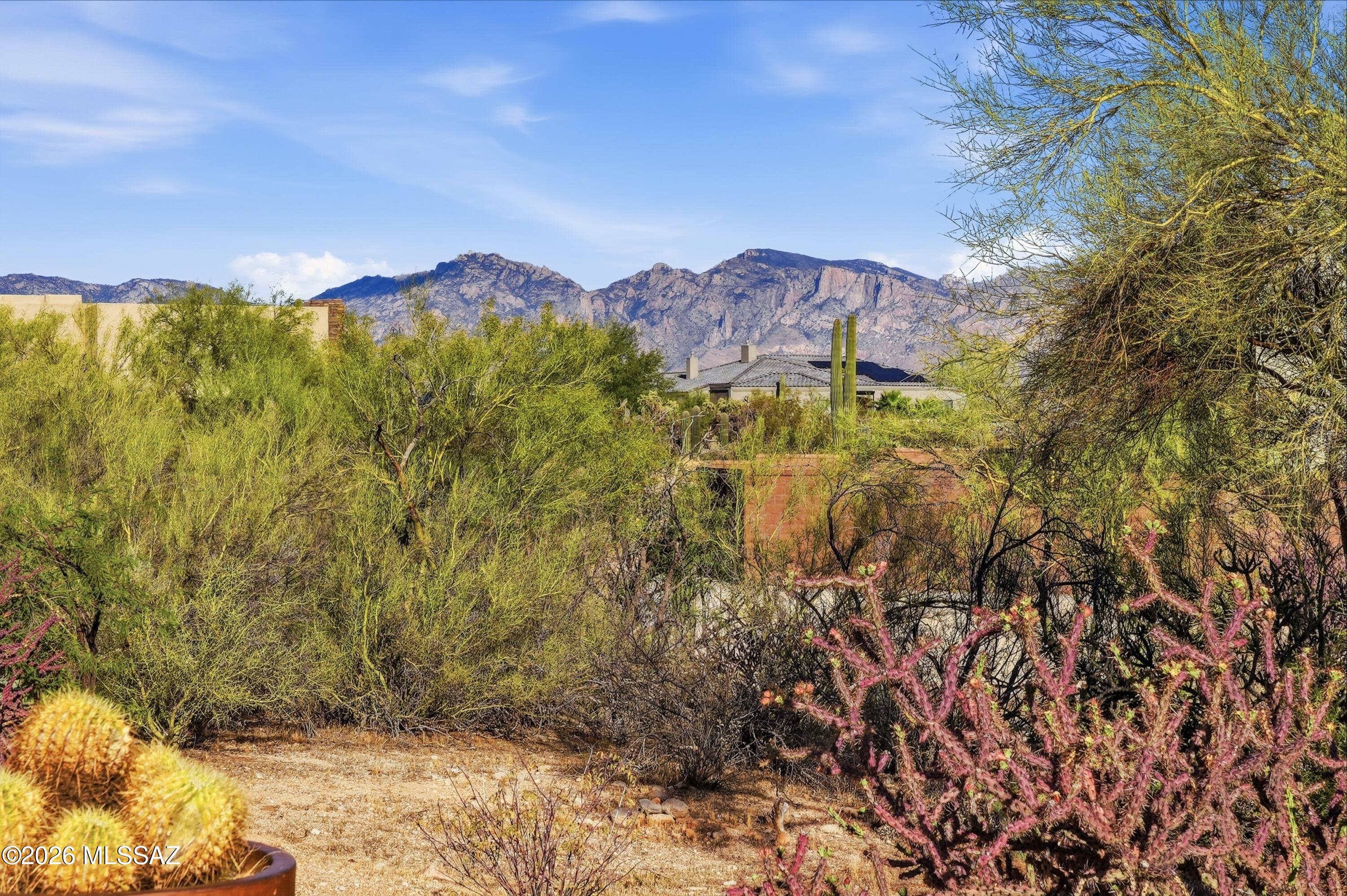 Sonoran Preserve - Residential