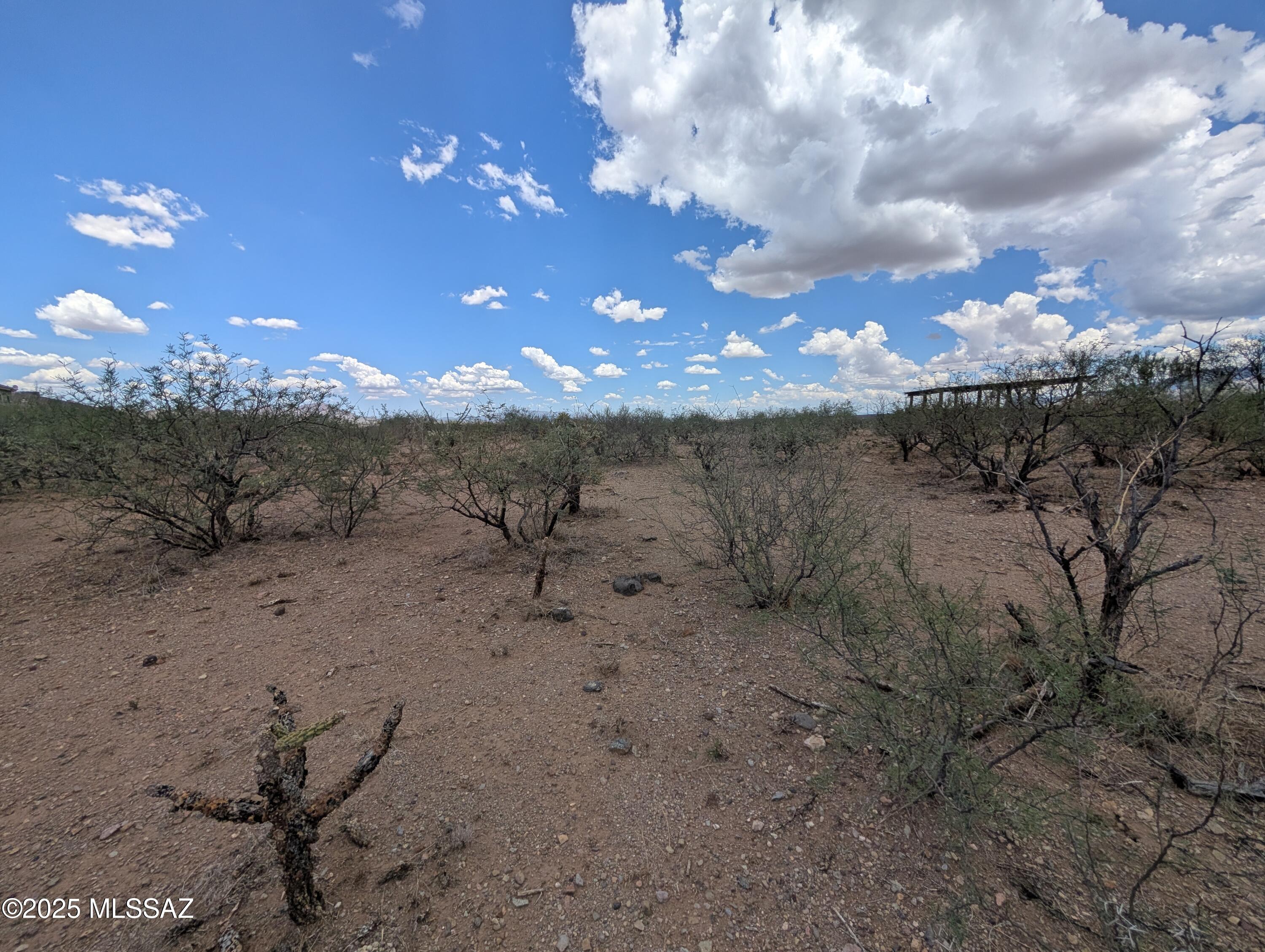 Rio Rico Villas 11 - Land