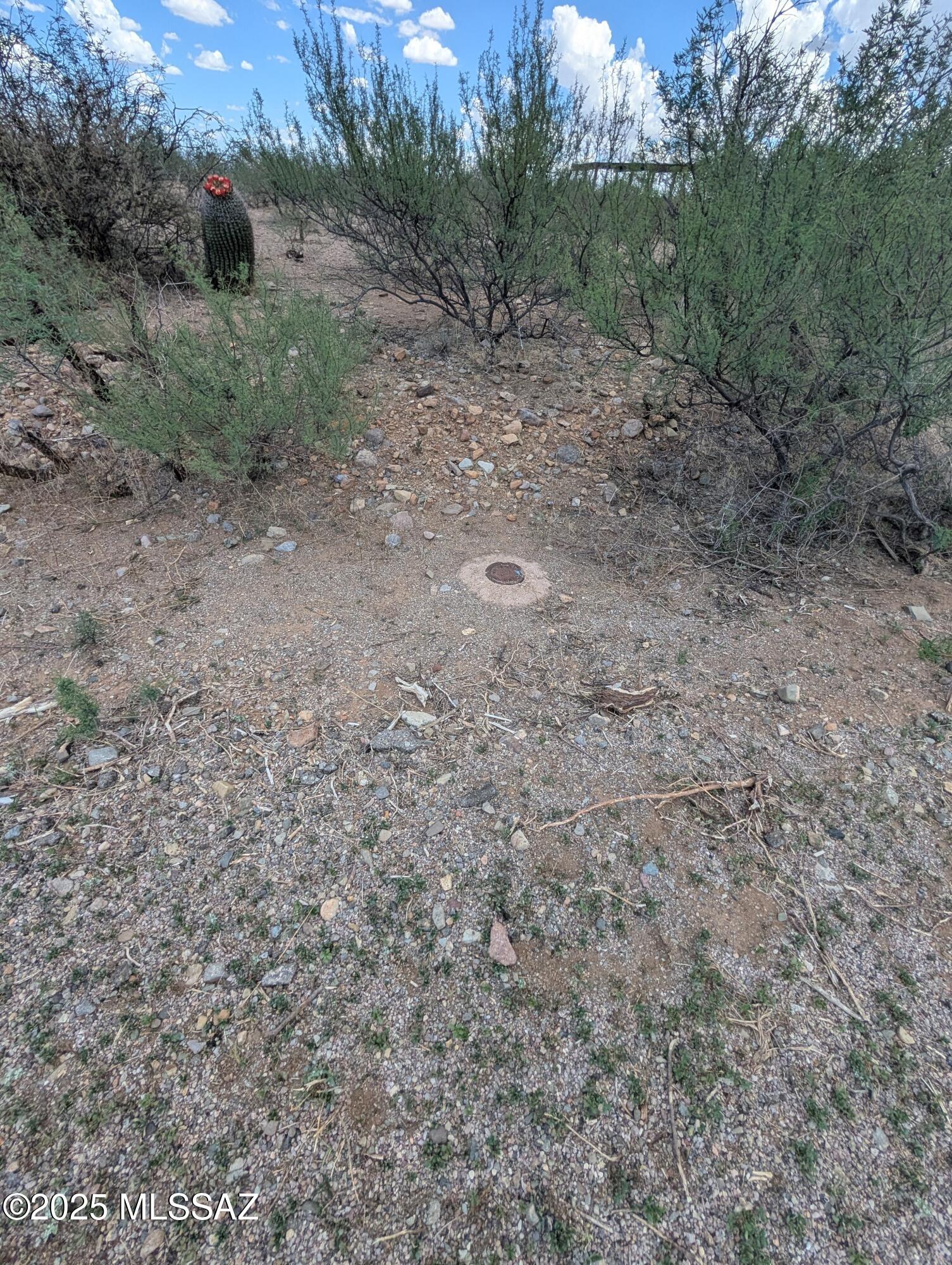 Rio Rico Villas 11 - Land