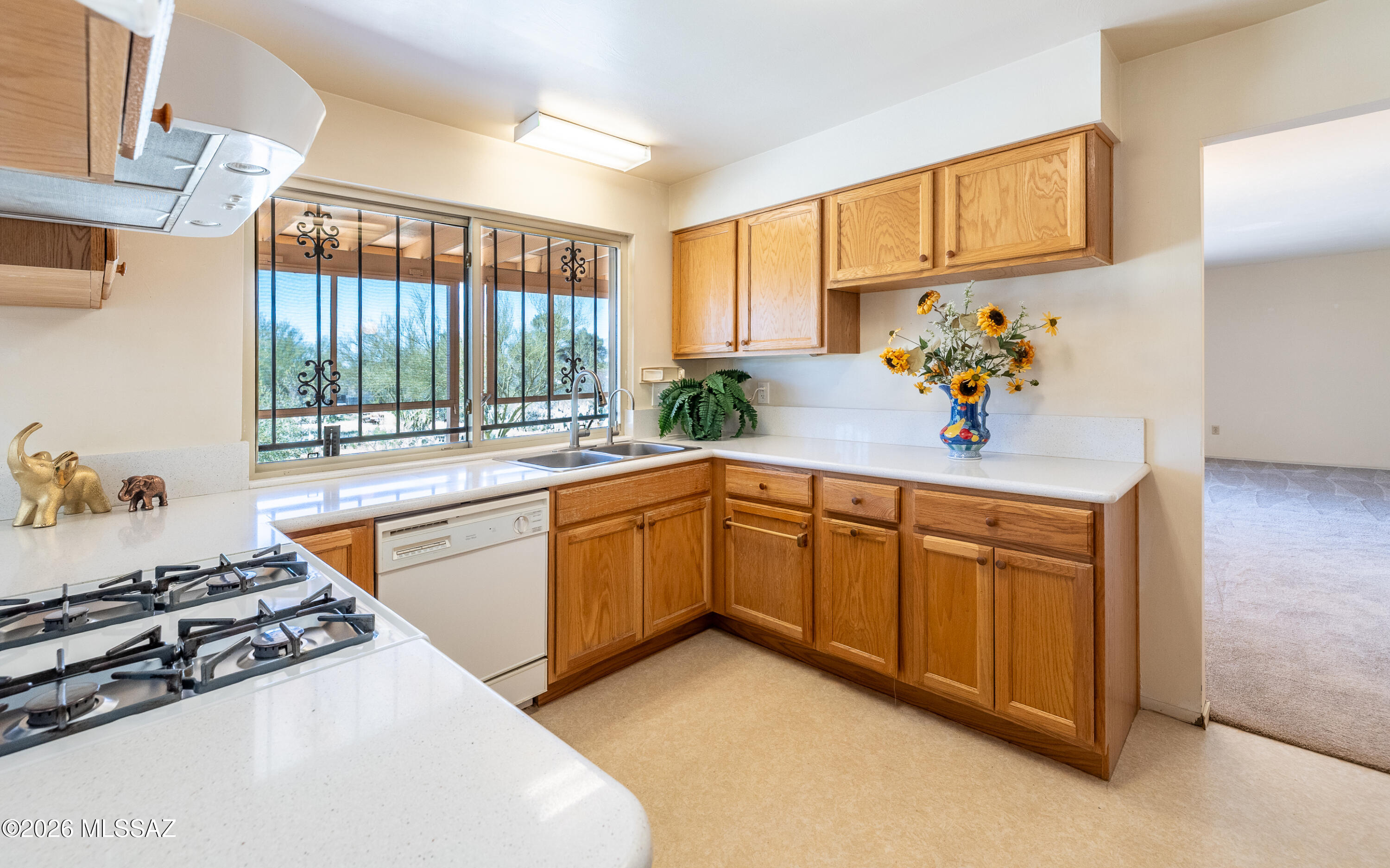 Discovery Ridge (1-137) - Residential