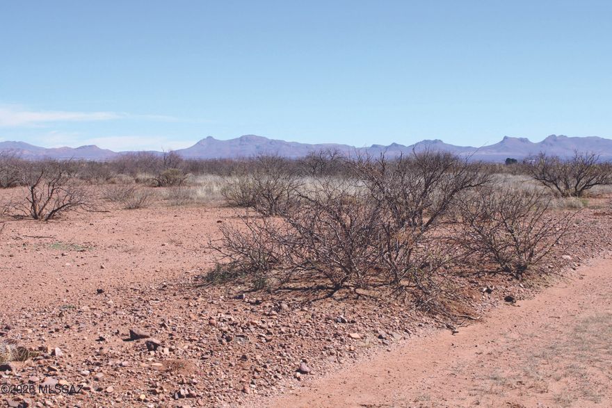 Great level property ready to build on, Close to Douglas and Bisbee for work or shopping. Short drive to Historic Tombstone or other Cochise County sites