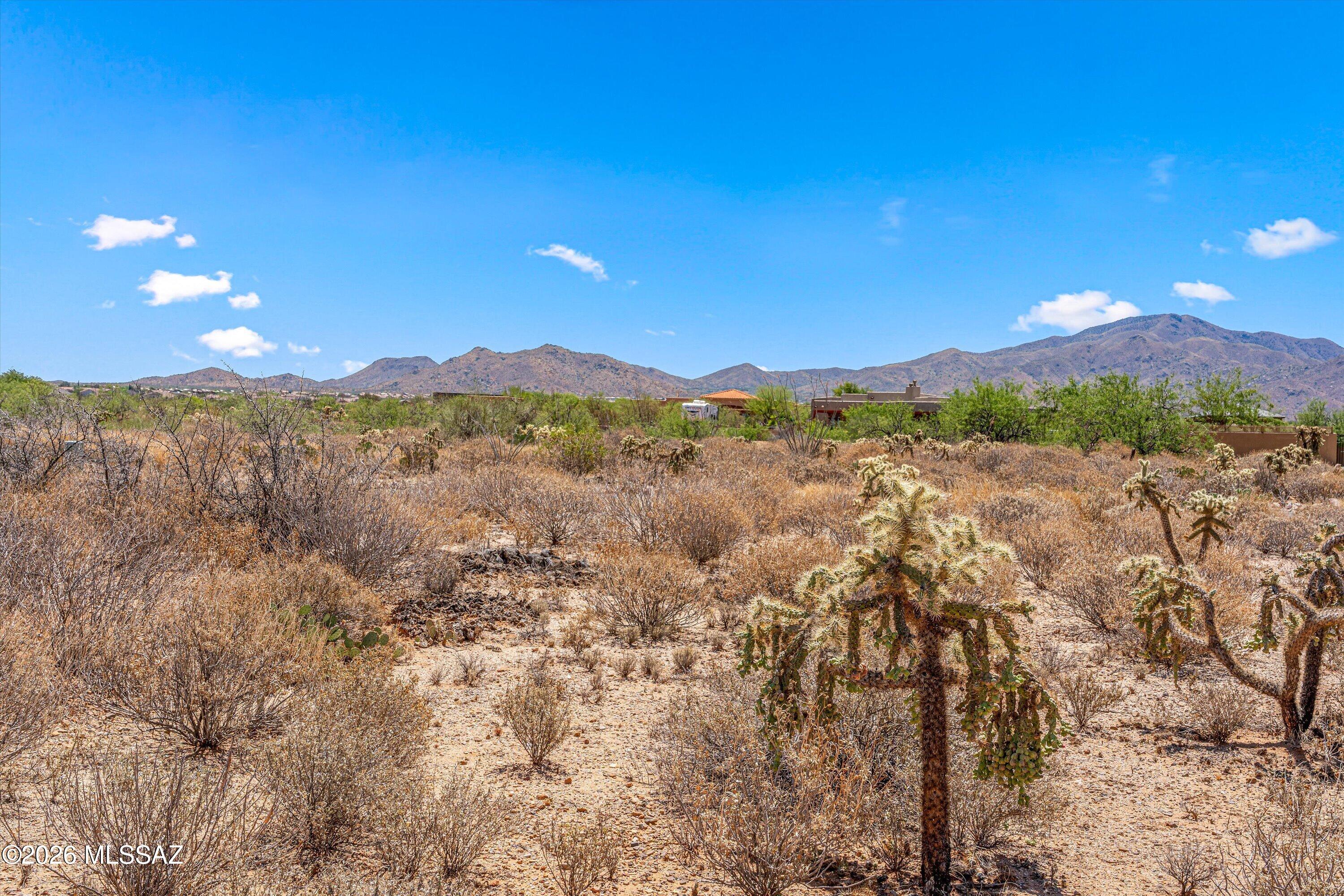 Sycamore Springs (1-64) - Land