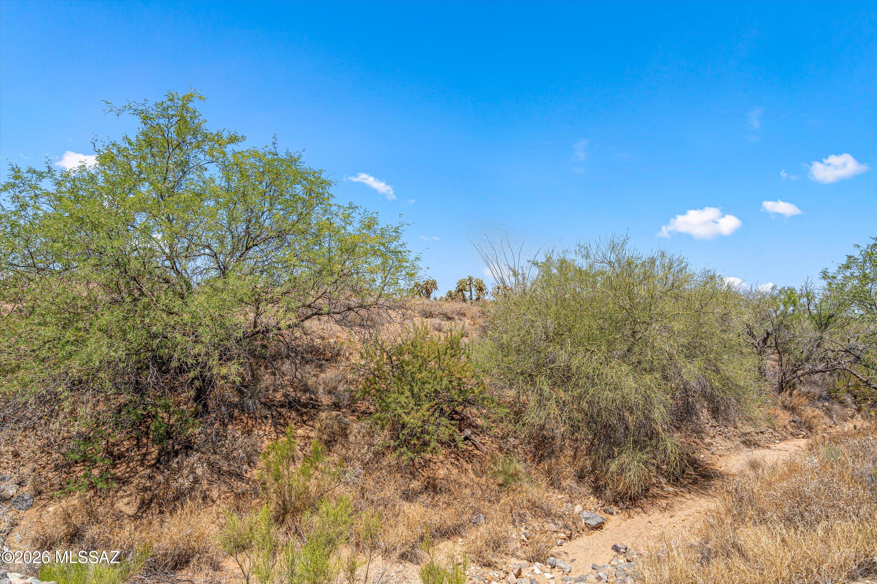 Sycamore Springs (1-64) - Land