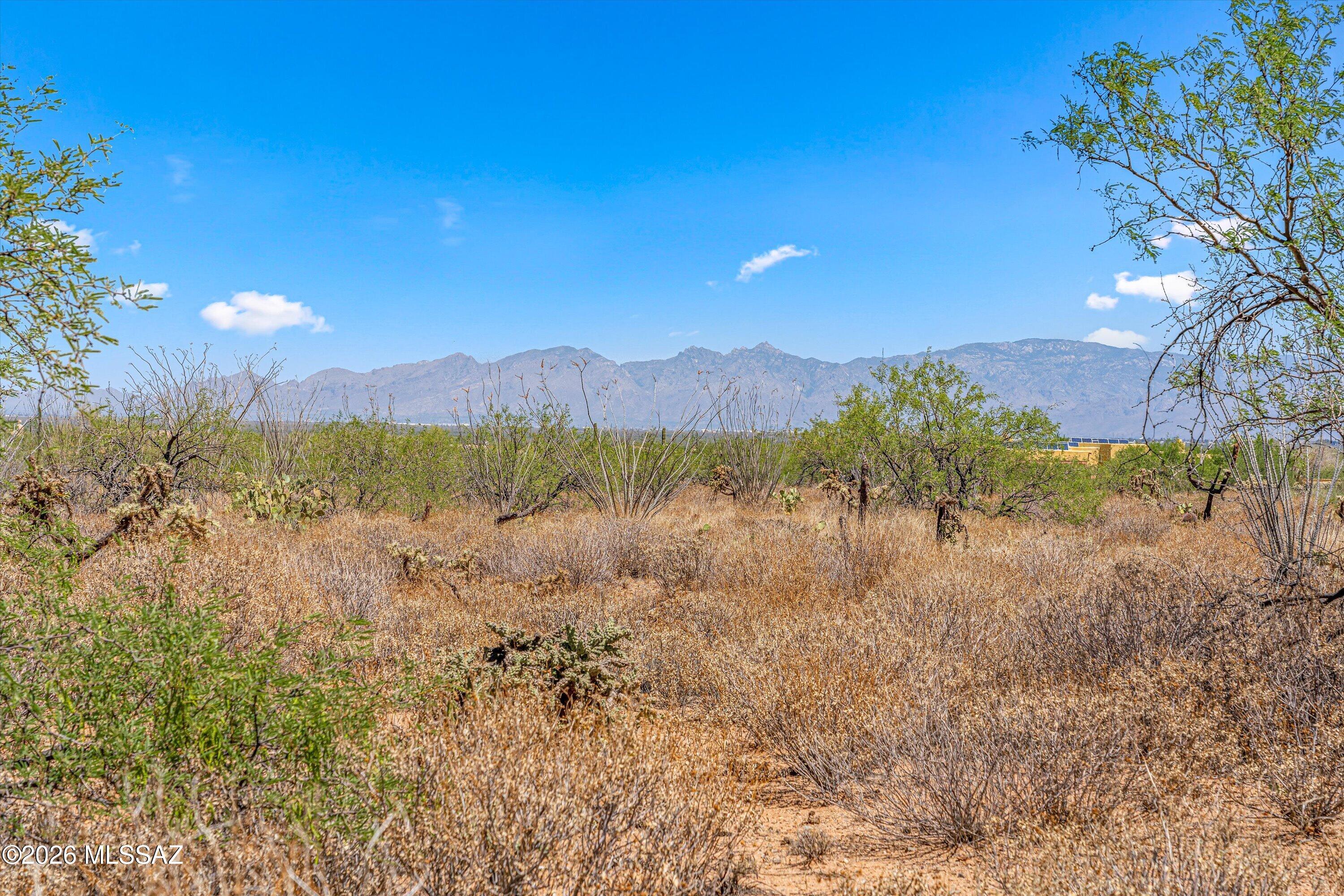 Sycamore Springs (1-64) - Land