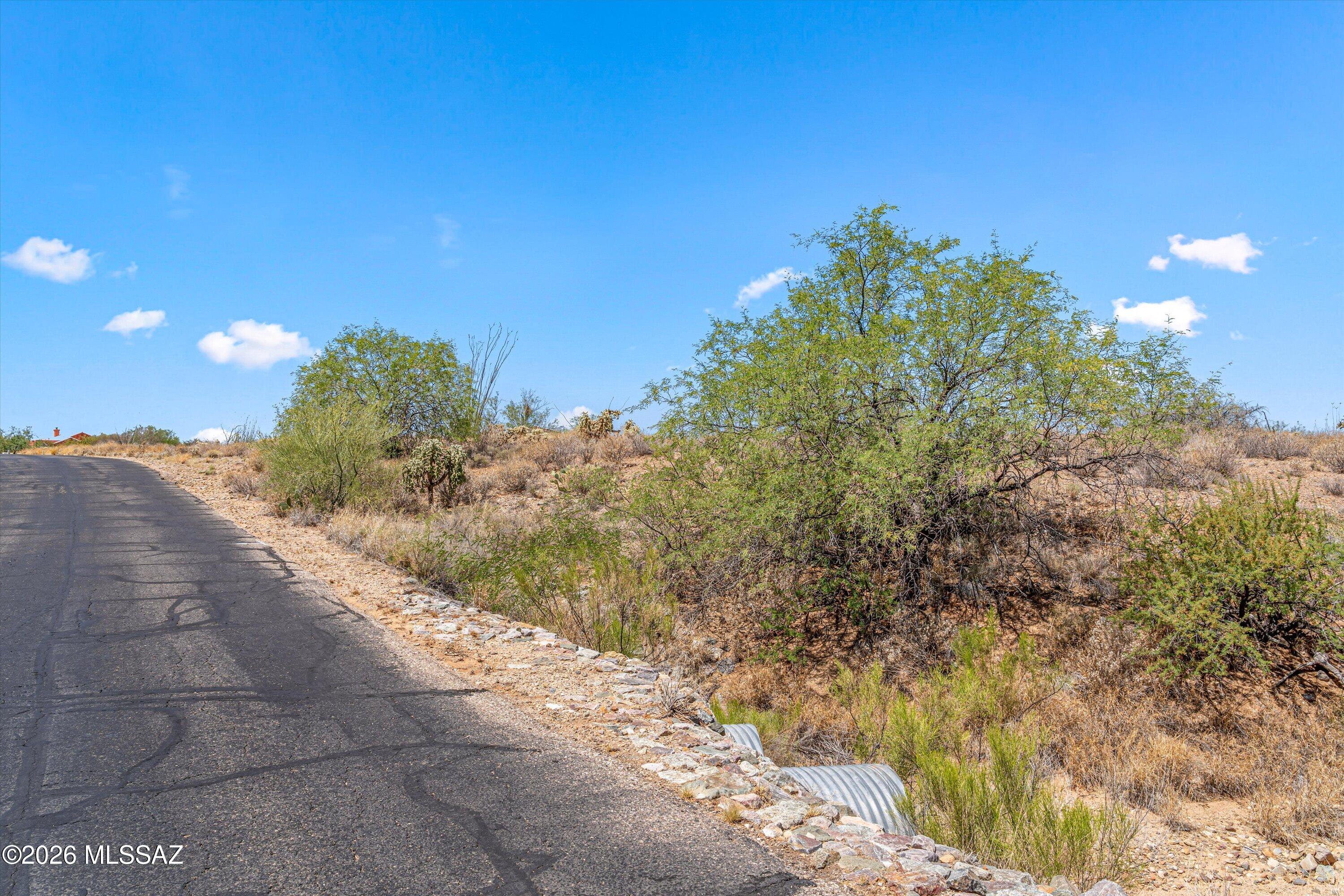 Sycamore Springs (1-64) - Land