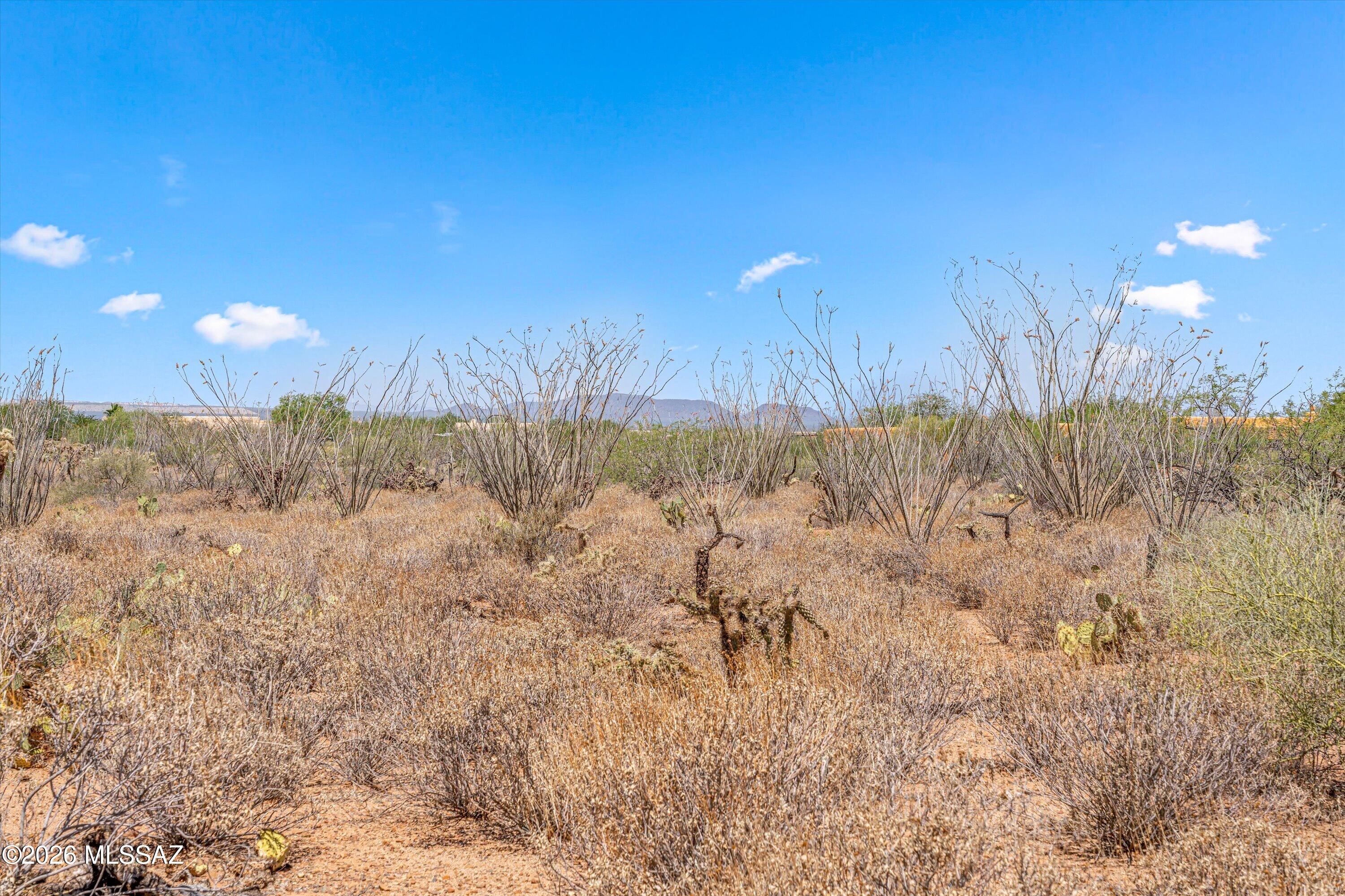 Sycamore Springs (1-64) - Land