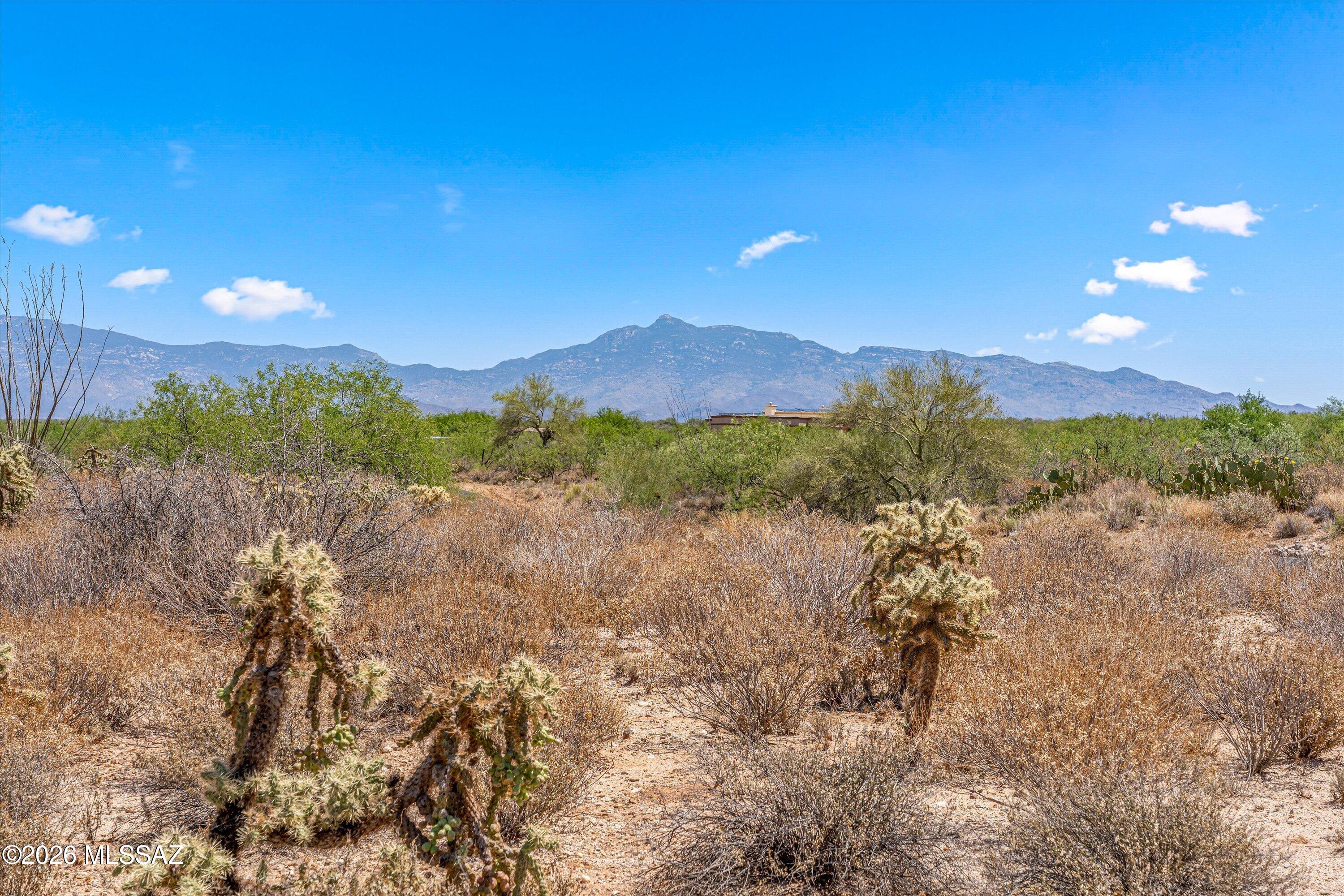 16588 S Sycamore Hollow Trail #5