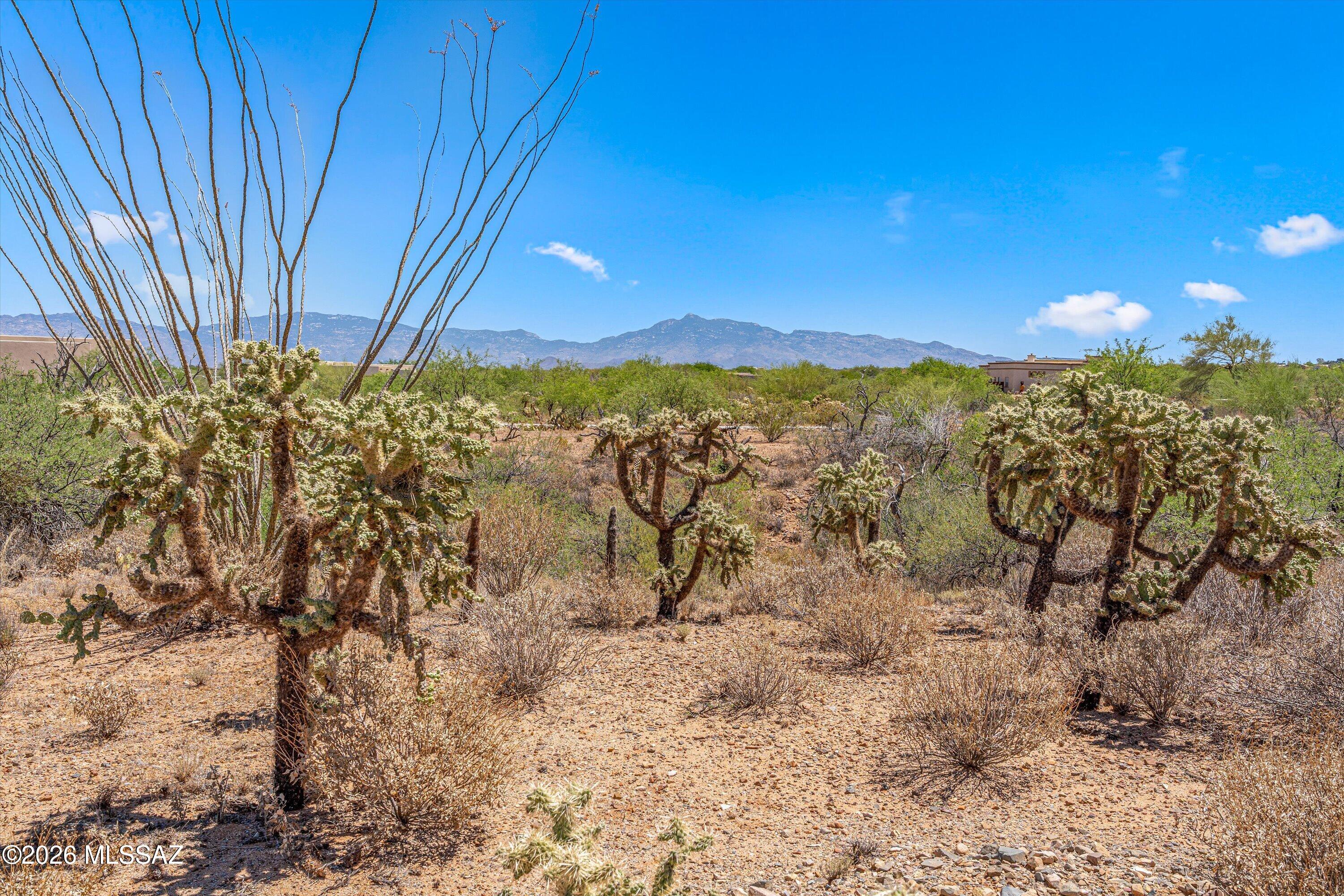 Sycamore Springs (1-64) - Land