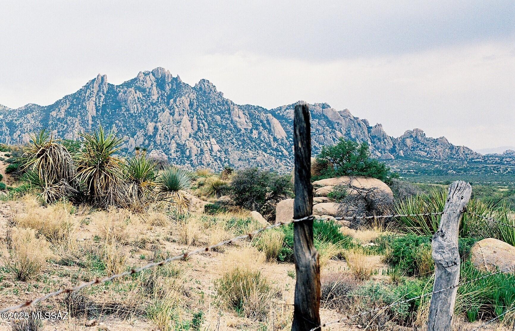 Dragoon Mountain Ranch - Land