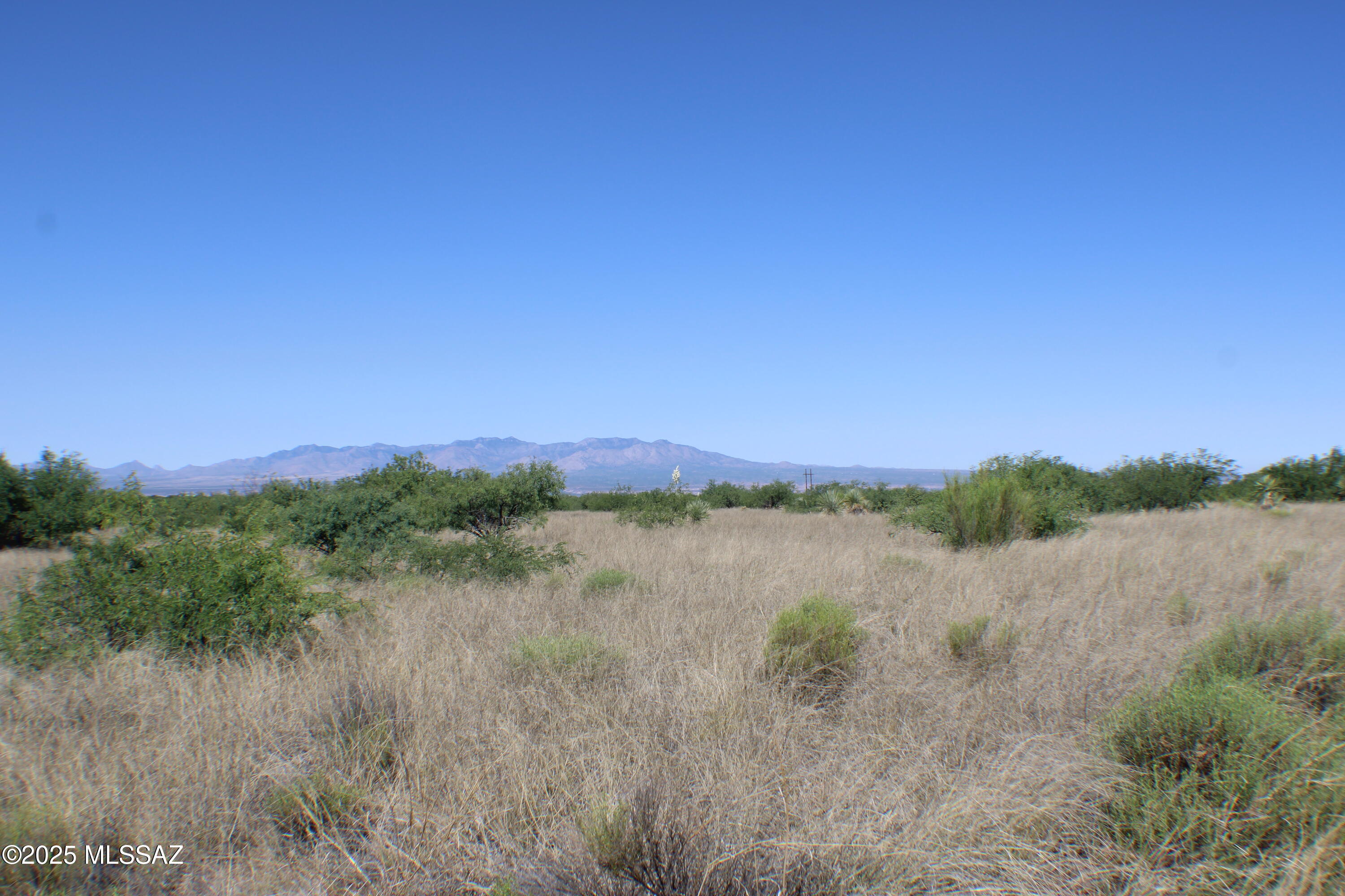 Dragoon Mountain Ranch - Land