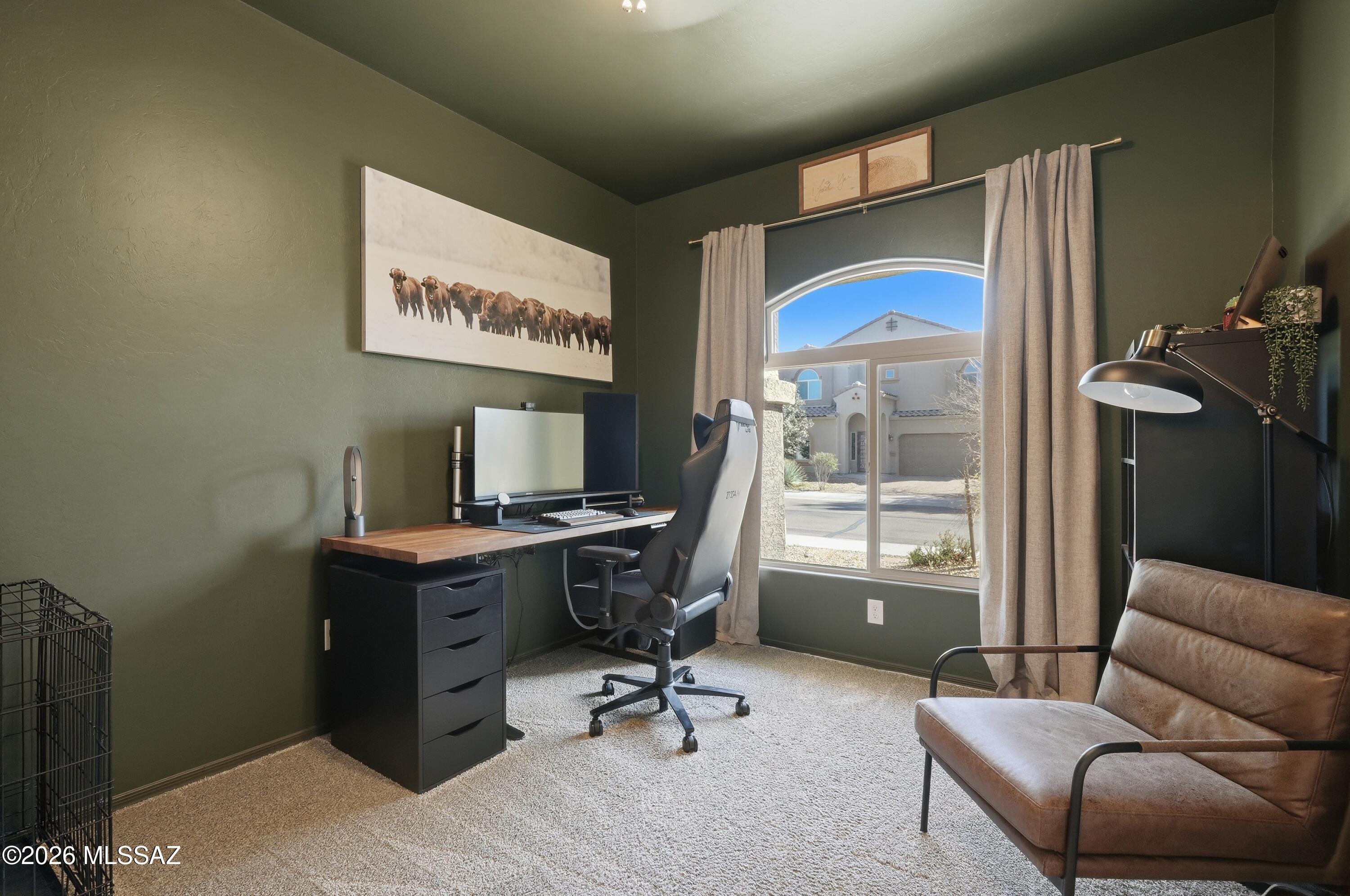 Saguaro Bloom 7B - Residential