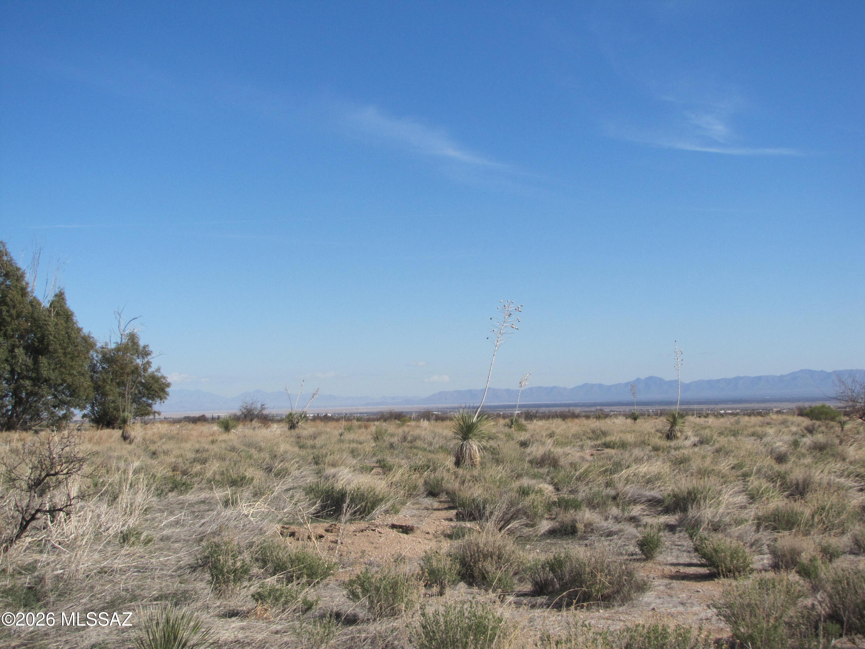 TBD Central Rd (corner of Orange) 11