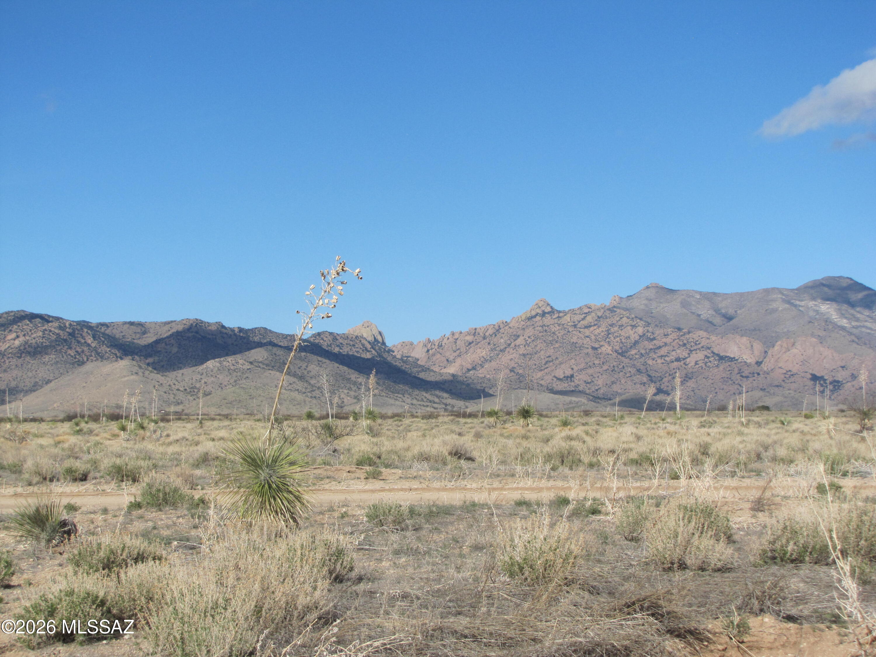 TBD Central Rd (corner of Orange) 11