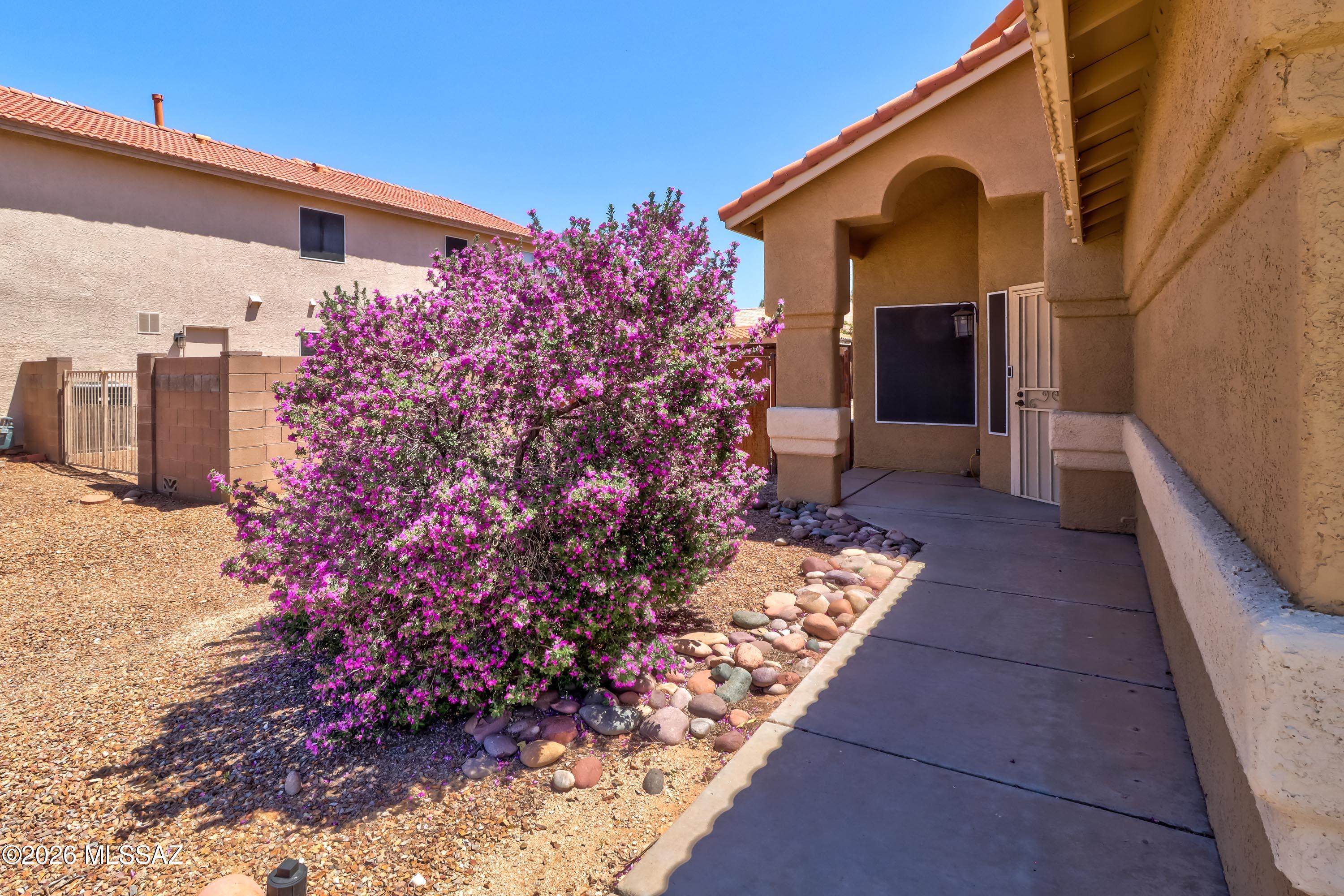 7637 S Gooseberry Way