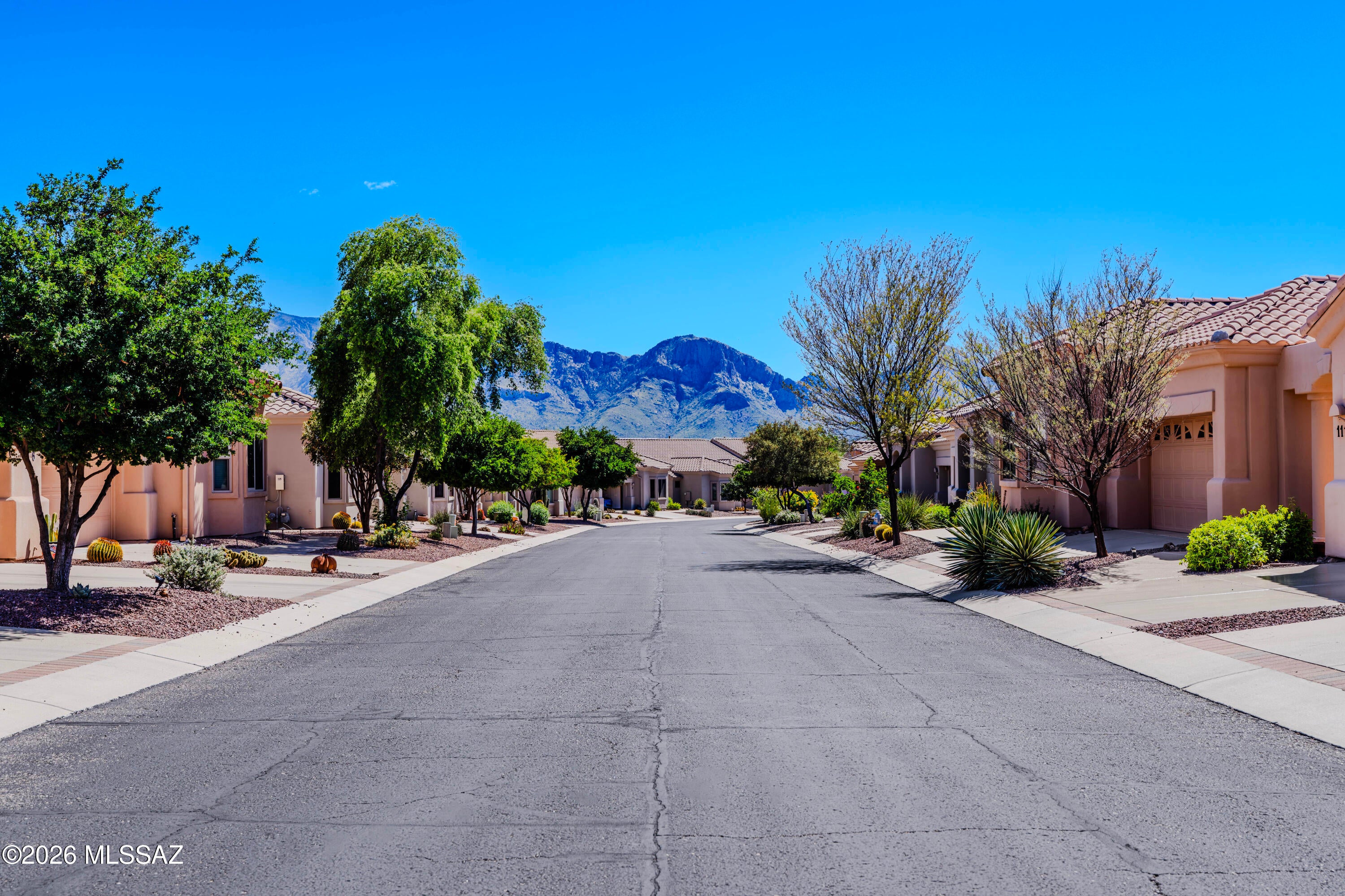 13401 N Rancho Vistoso Boulevard 110