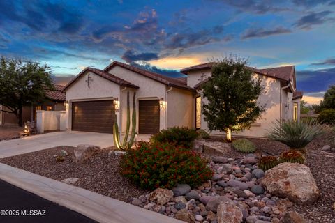31226 S One Horse Lane Oracle AZ 85623