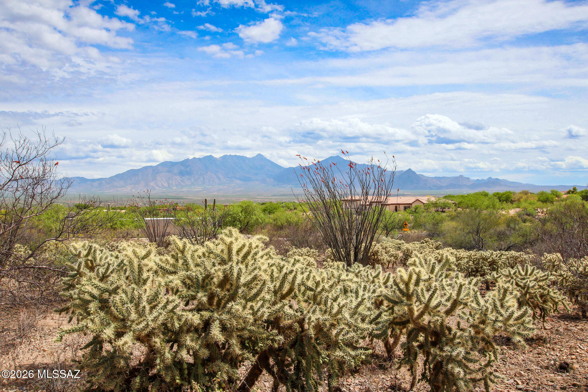 1680 S Camino Del Sol