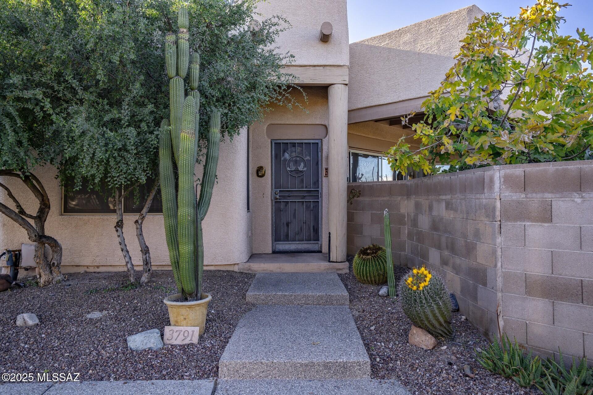 3791 N Lost Chestnut Drive