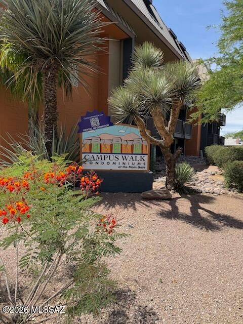 921 N Euclid Avenue 216 Tucson AZ 85719
