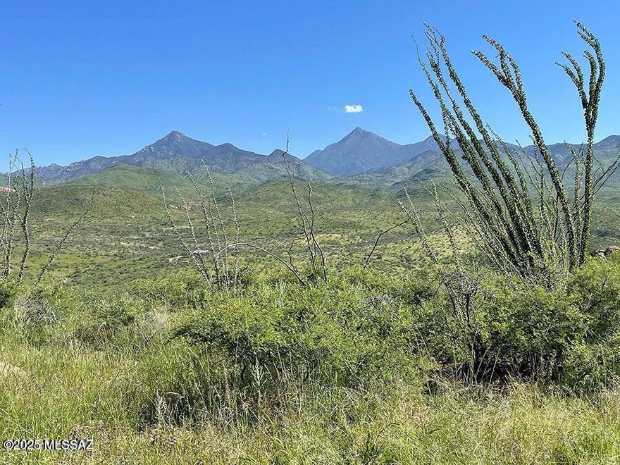 Extraordinary location in Salero Ranch, gated residential-ranch community where you can take in nature and relax .  The unique terrain of this 36.1 acre property includes variety- from meadows to higher ground to ridge tops. The easy access and location are significant bonus qualities, plus truly remarkable surrounding Southern Arizona mountain views, sunrise and sunsets.