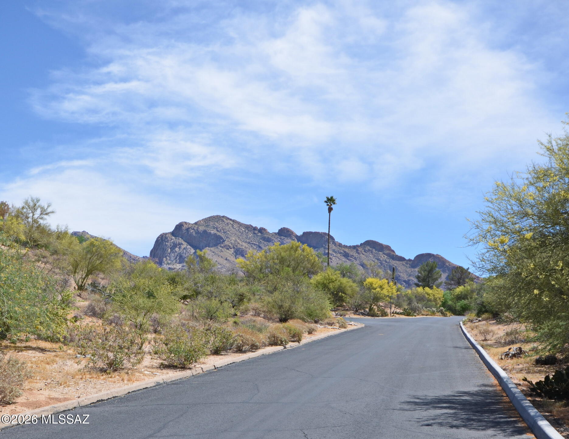 Oro Valley Estates - Residential