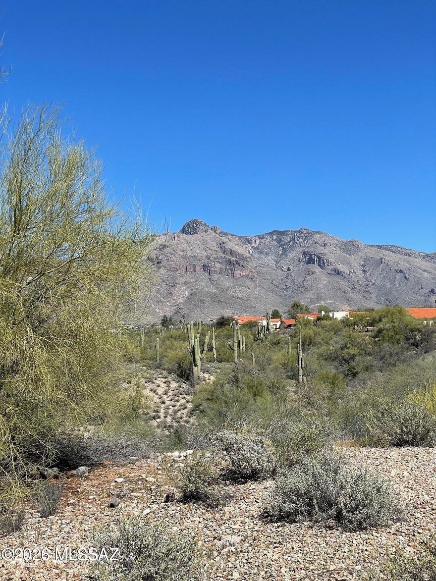 Location, location in Rancho Arboleda! Expanded floor plan with a spacious primary suite. The north-facing backyard overlooks a wash with big mountain views. Extra privacy at the end of a cul-de-sac. Move-in ready with washer, dryer, fridge, water softener, and Murphy bed included. Community pool nearby.