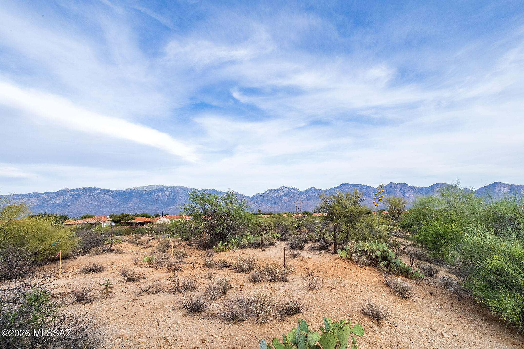 Honey Bee Ridge(The Estates At) - Land