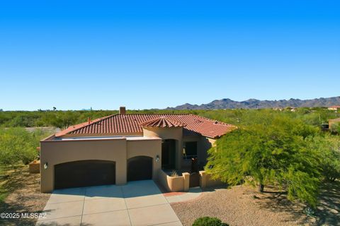 12687 N Red Eagle Drive Oro Valley AZ 85755