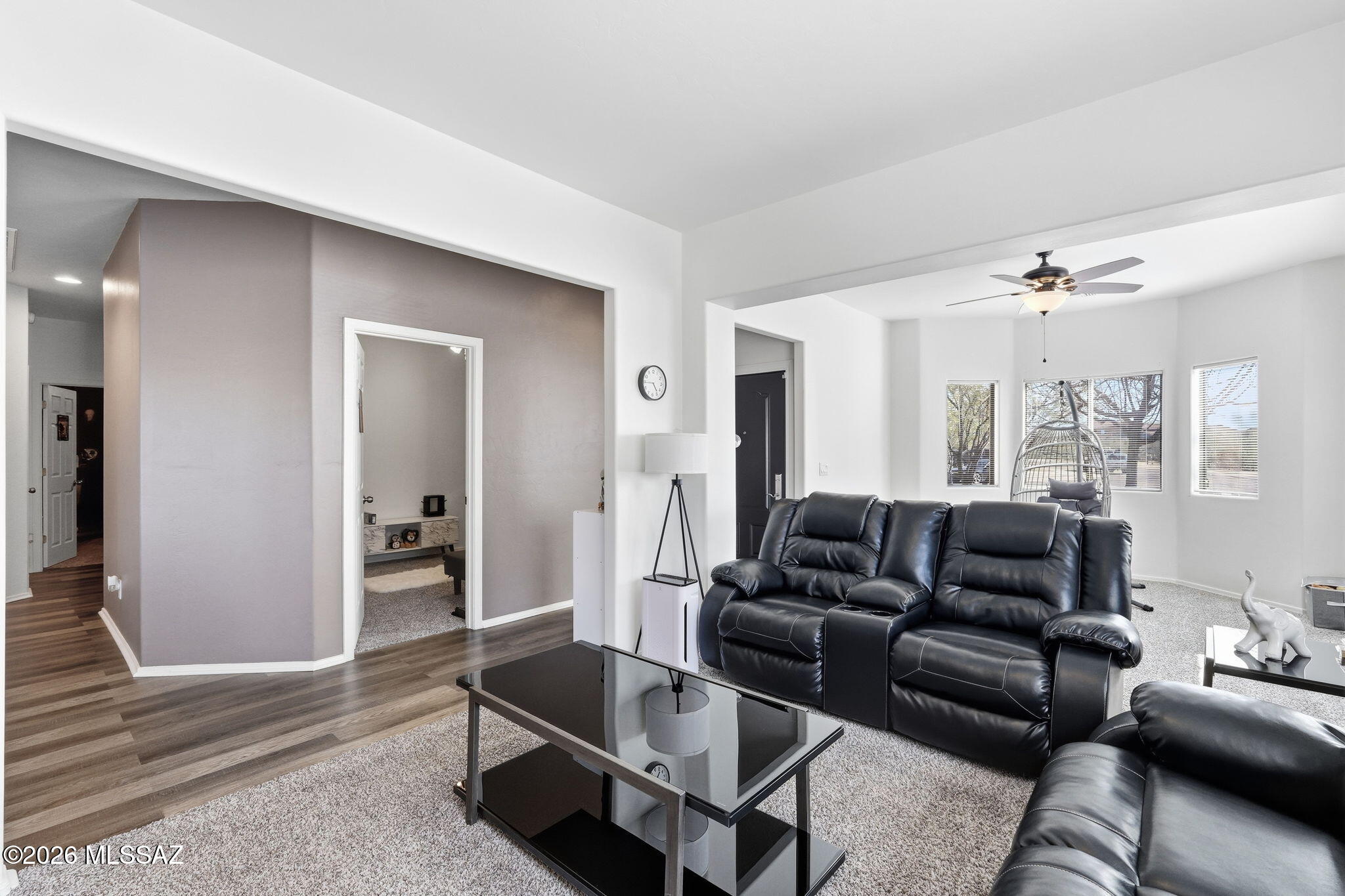 6675 S Placita Segovia