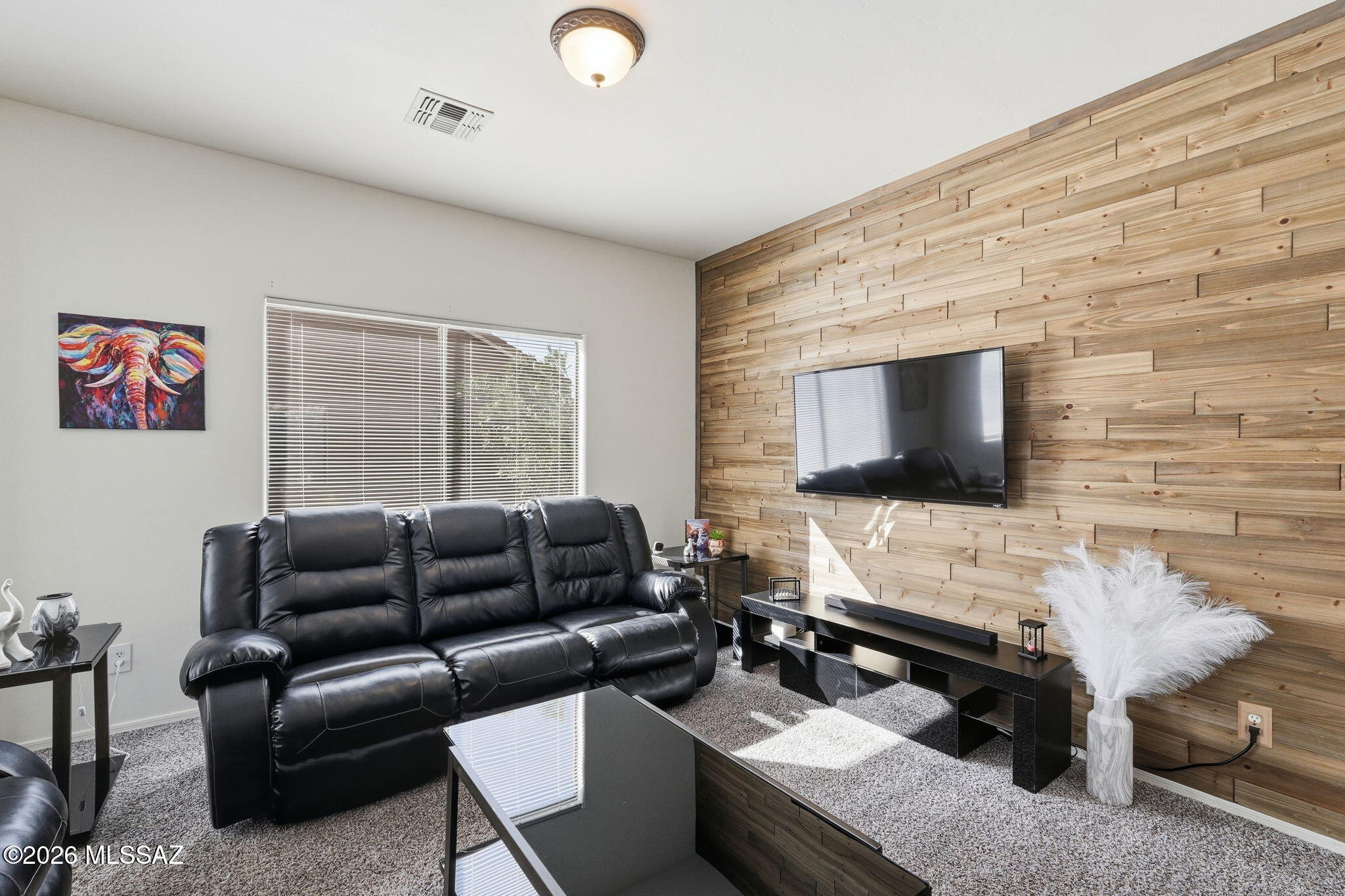 6675 S Placita Segovia