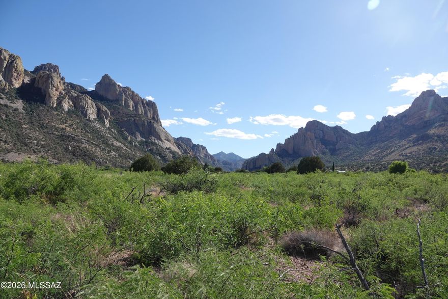 Spectacularly scenic BUILD-READY 4 acres at the Gateway to Cave Creek Canyon. Bordering Cave Creek Road, this property offers unobstructed head-on views into the heart of Cave Creek Canyon and the towering Chiricahua Mountains. Known as the ''Yosemite of Arizona,'' the canyon's most iconic vistas are right here! This premier corner parcel is Build Ready with full infrastructure: private well, septic, and underground power. Enjoy flat land and easy access via an all-weather road. Surrounded by gorgeous 360-degree panoramic mountain vistas, you'll experience jaw-dropping scenery in every direction, world-class birding, and dark night skies for phenomenal stargazing. This is a one-of-a-kind, build-ready opportunity to own a front-row seat to the canyon's most iconic vistas!