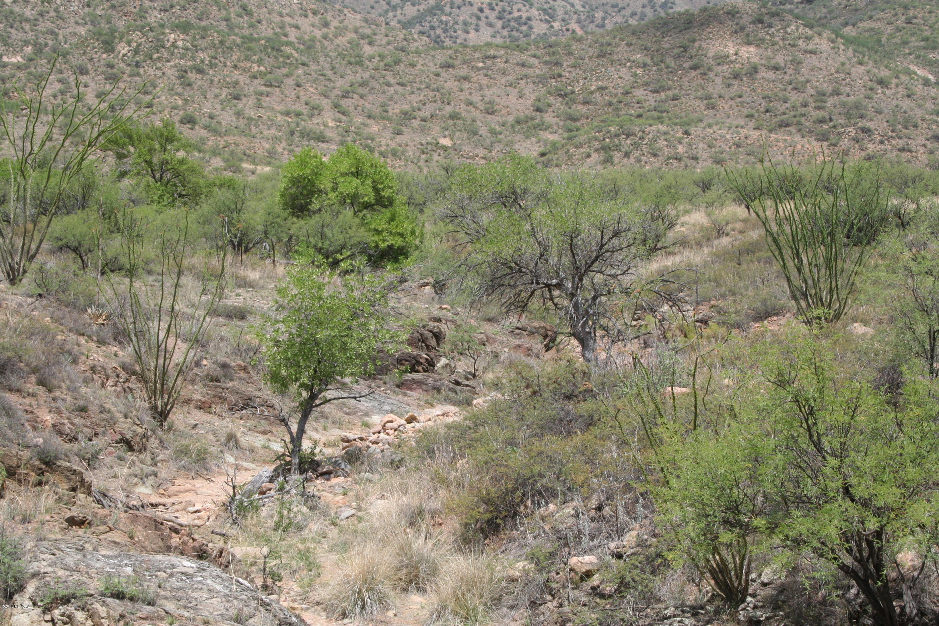 Salero Ranch - Land