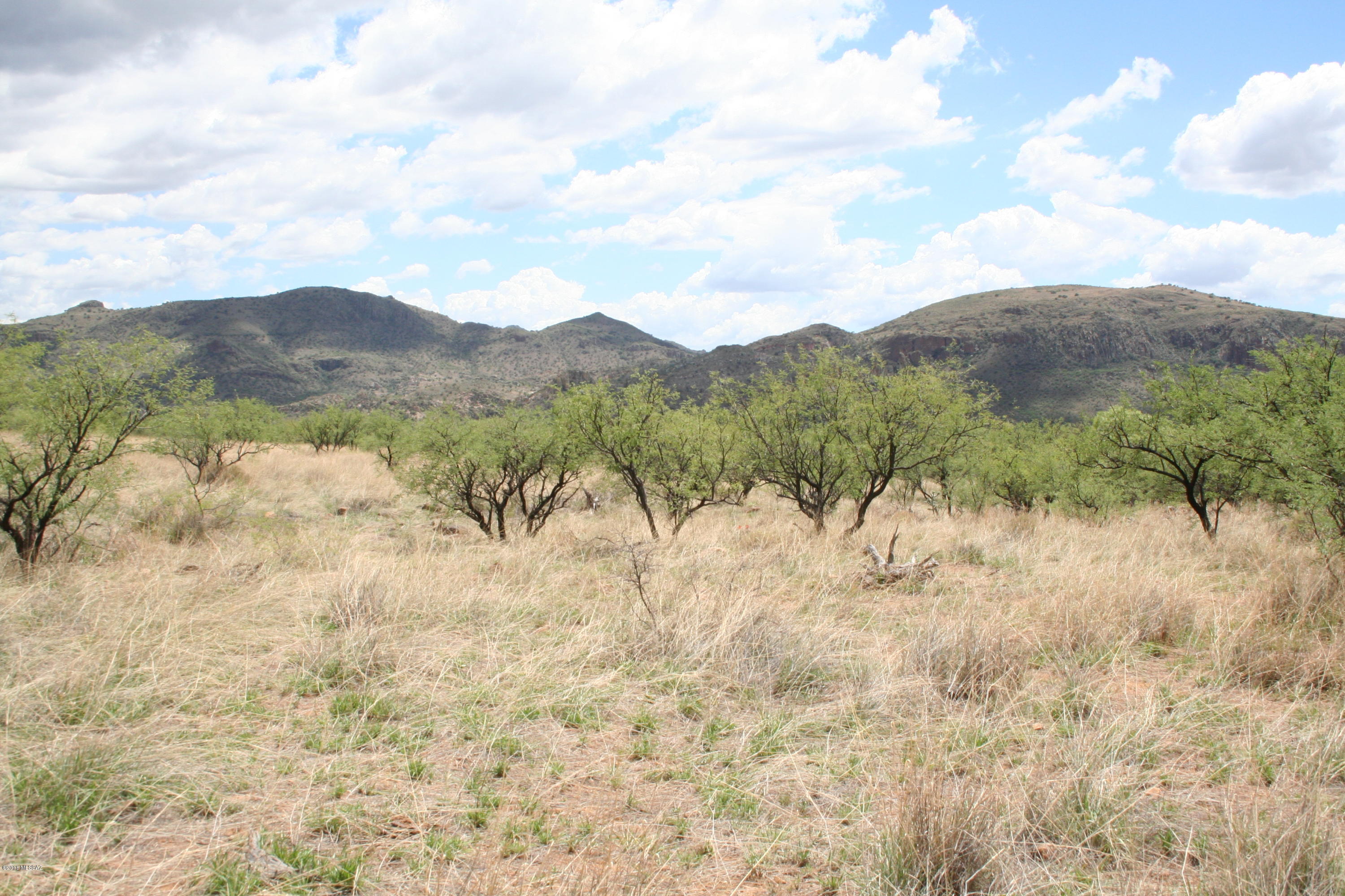 Salero Ranch - Land