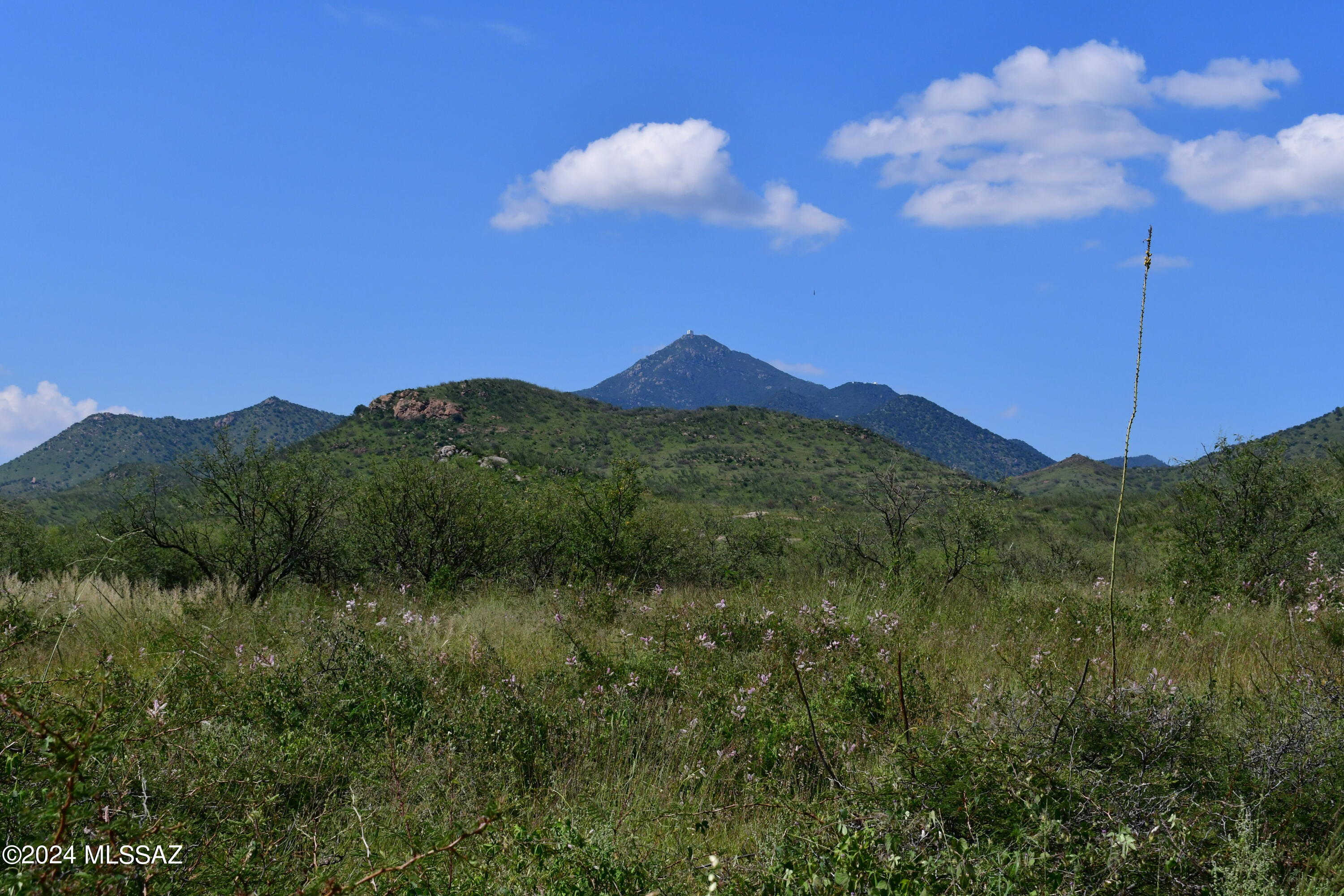 Salero Ranch - Land