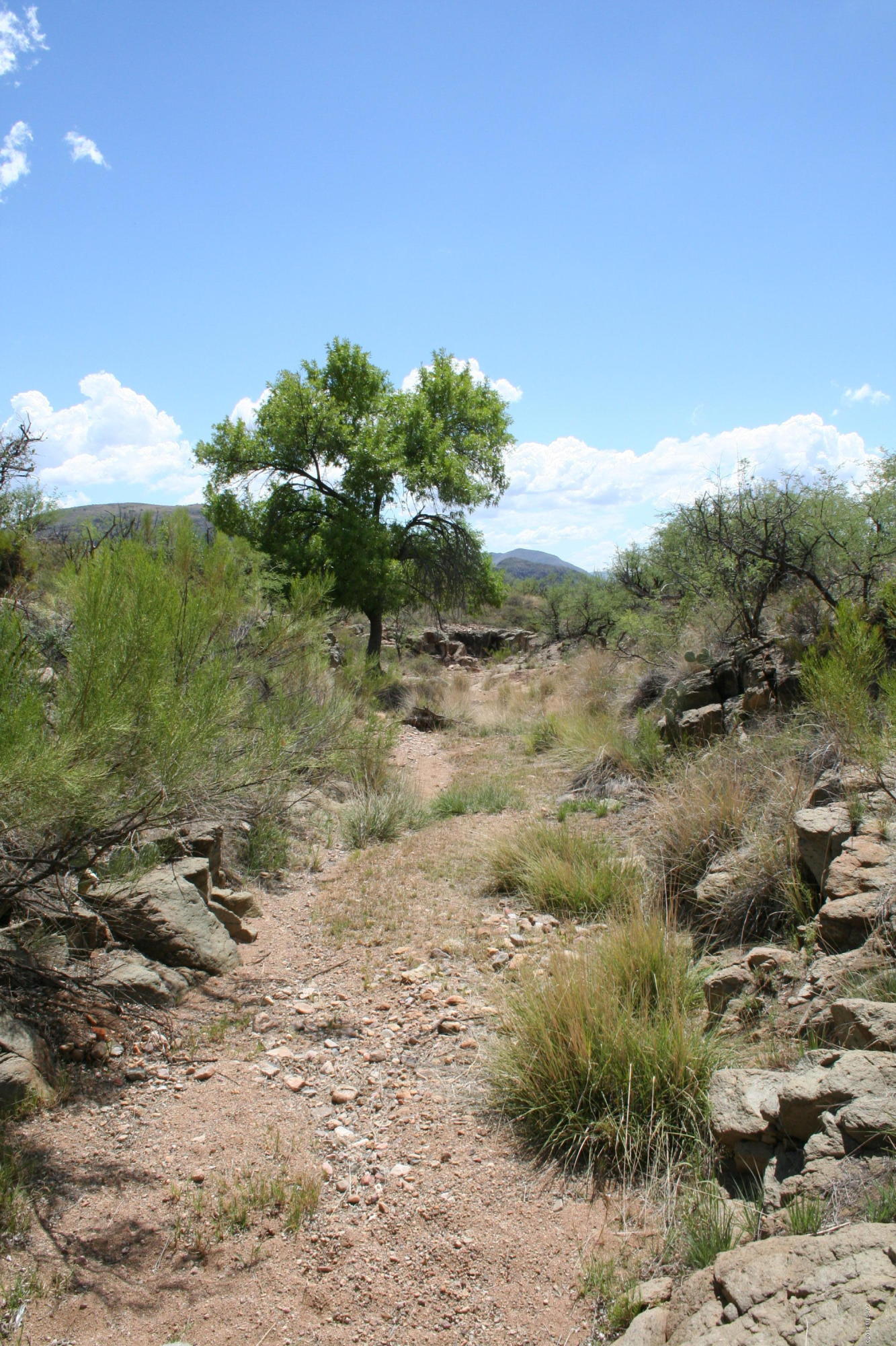 Salero Ranch - Land