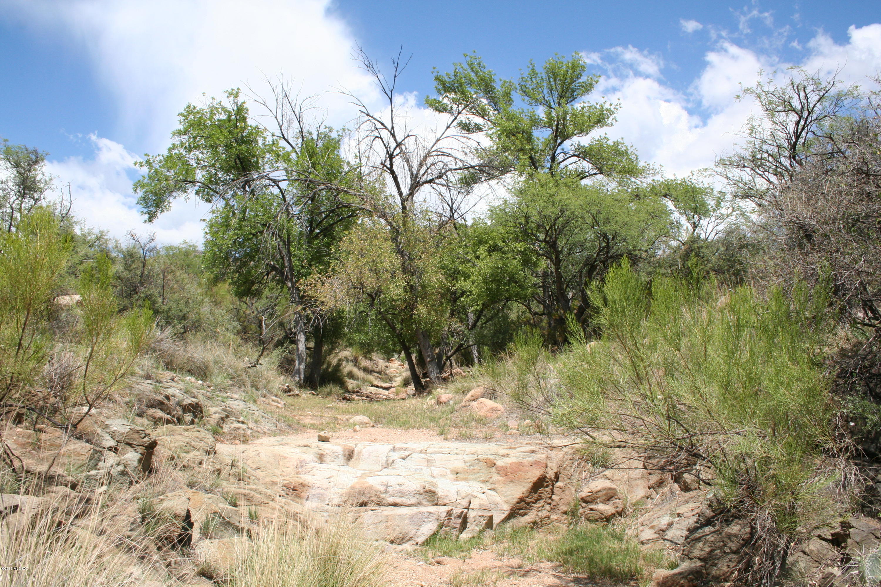 Salero Ranch - Land