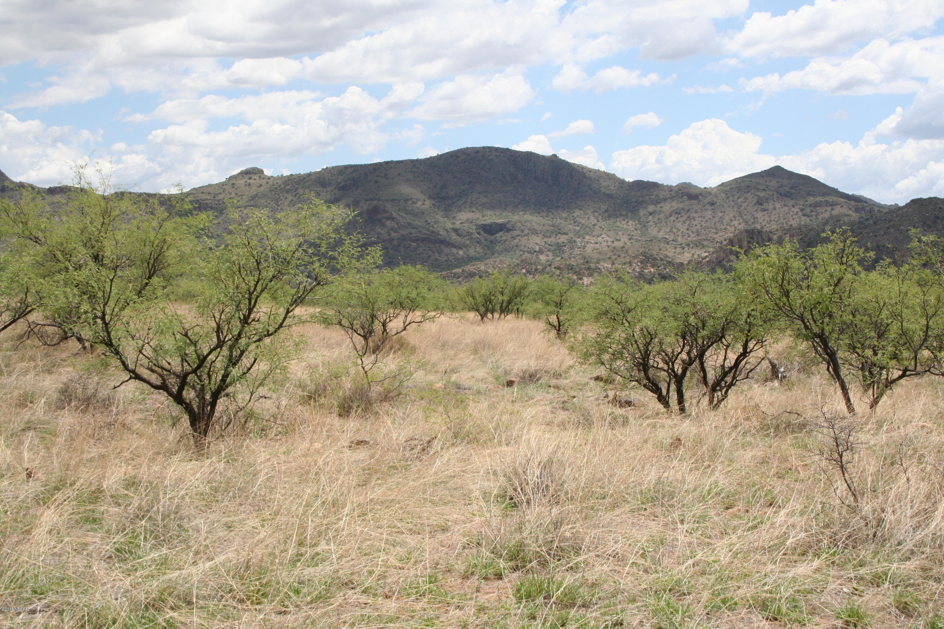 Salero Ranch - Land