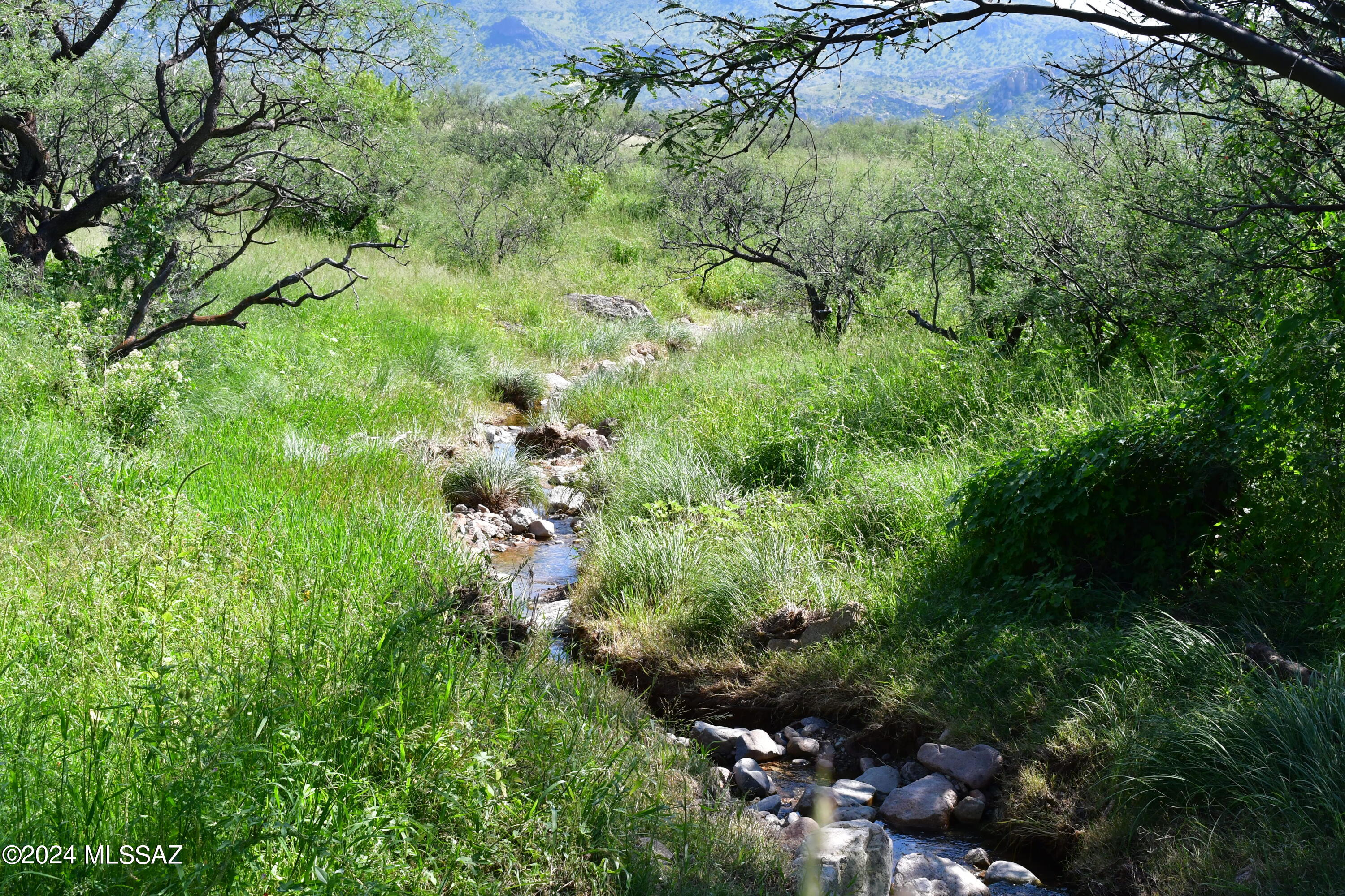 Salero Ranch - Land