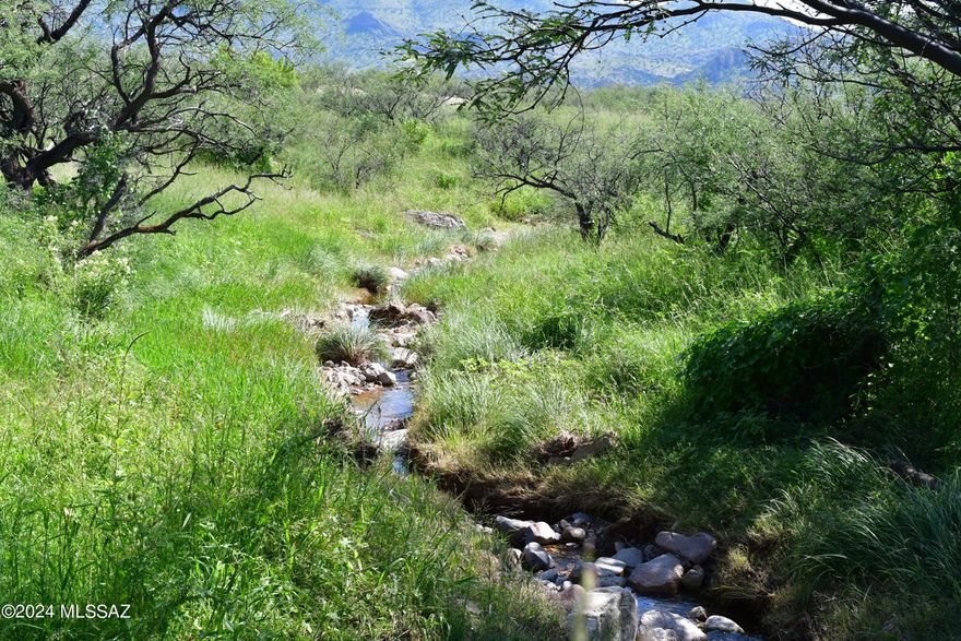 Rare find at the spectacular Salero Ranch! Best equestrian and most useable parcel on the entire ranch with easy access, good soil and an easy build. Level building sites with magnificent 360 degree mountain views. Beautiful Alto Creek runs through the parcel. Ranch is gated for privacy and underground electric protects the views. Very close to National Forest along a private road for endless riding or hiking. Remnants of an old historic rock home on the parcel. Must see property!