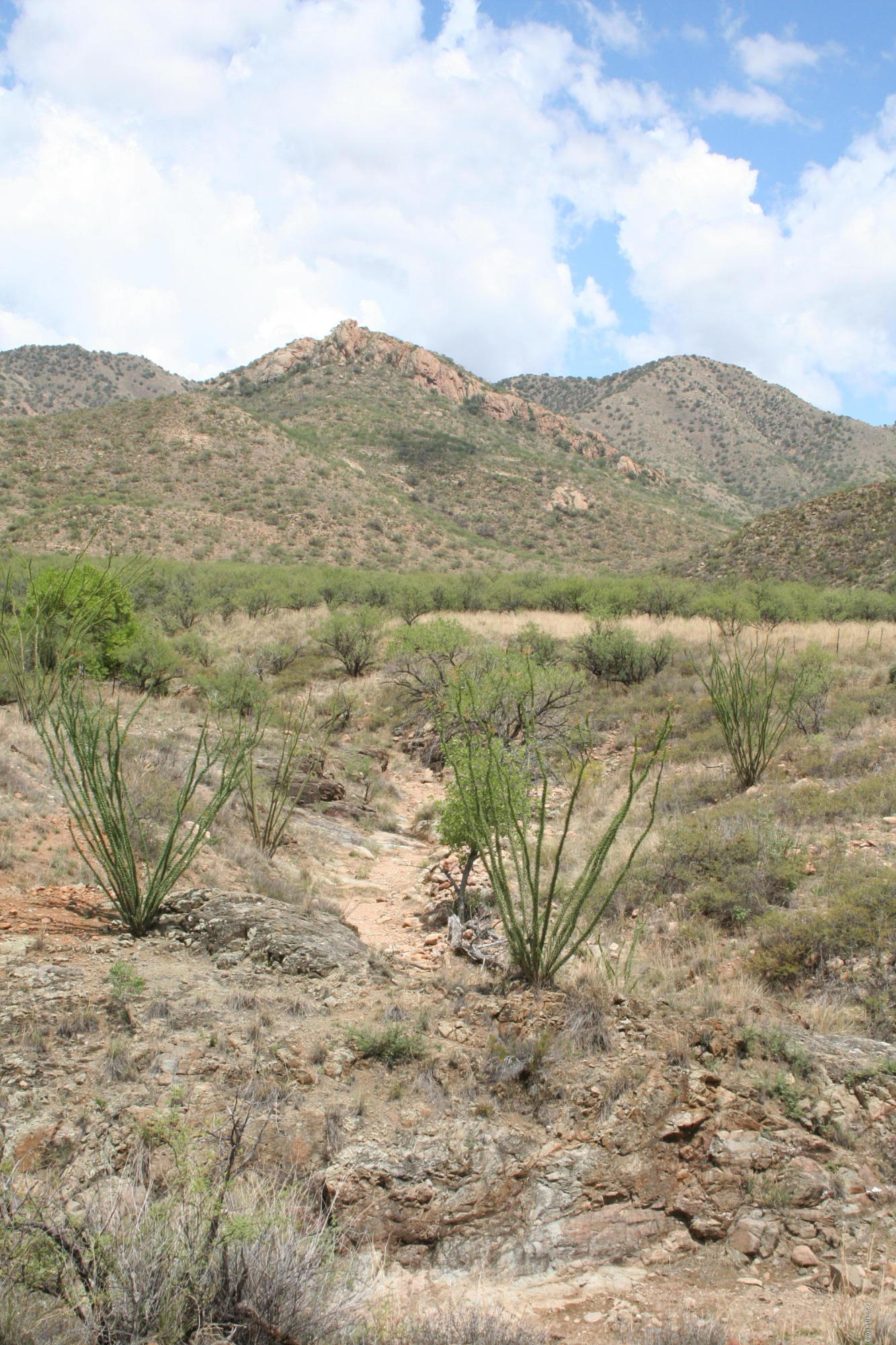 Salero Ranch - Land
