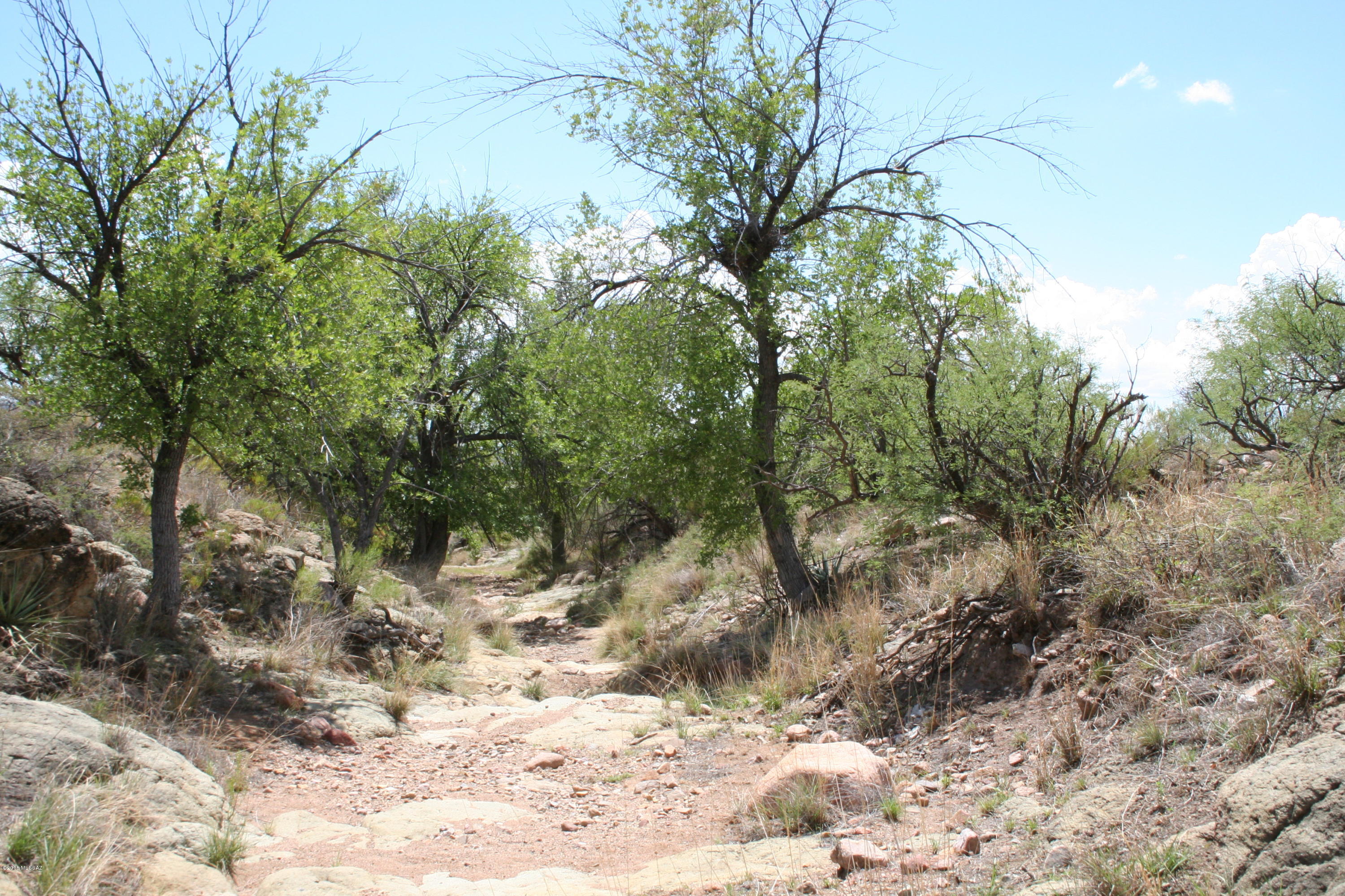 Salero Ranch - Land