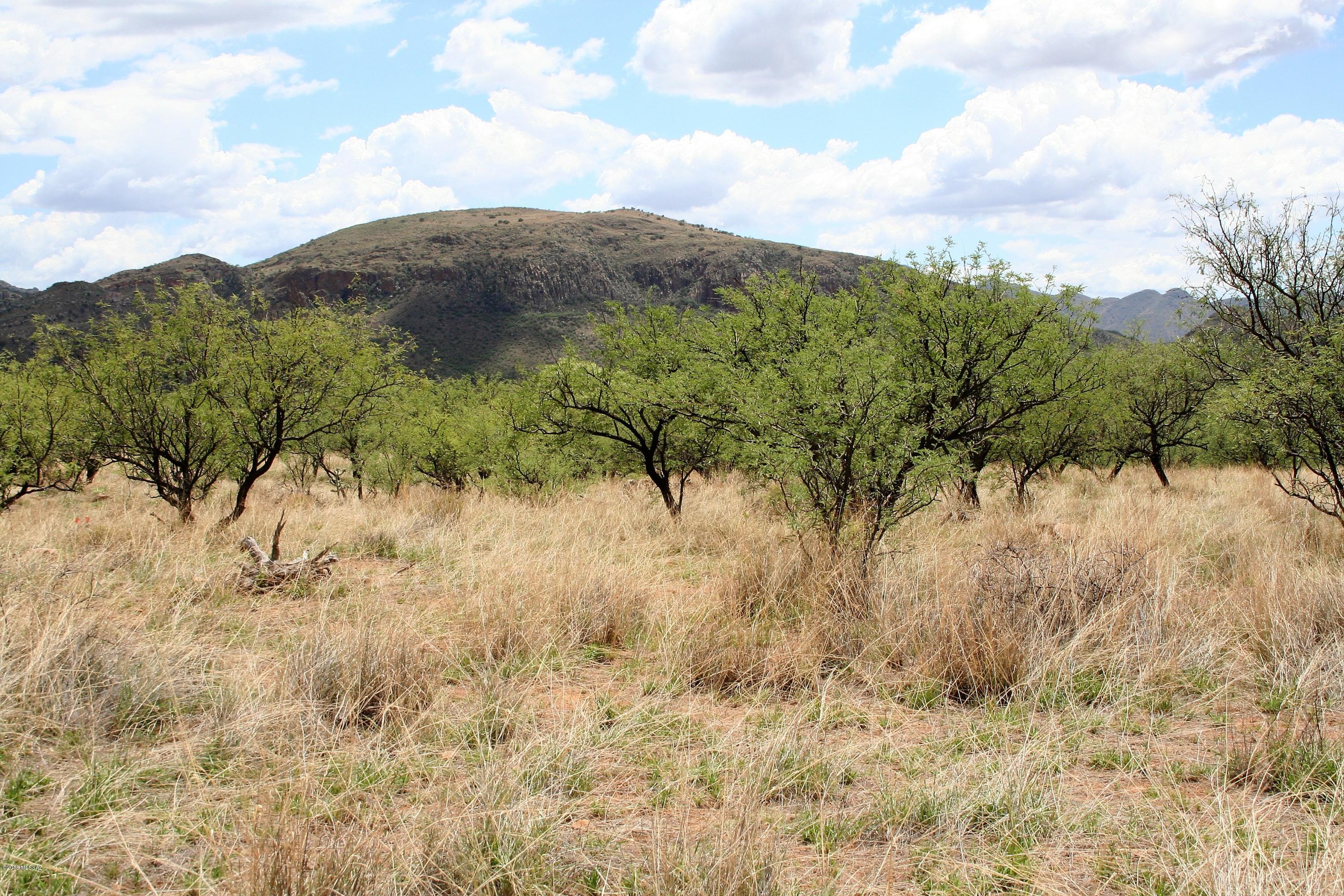 Salero Ranch - Land