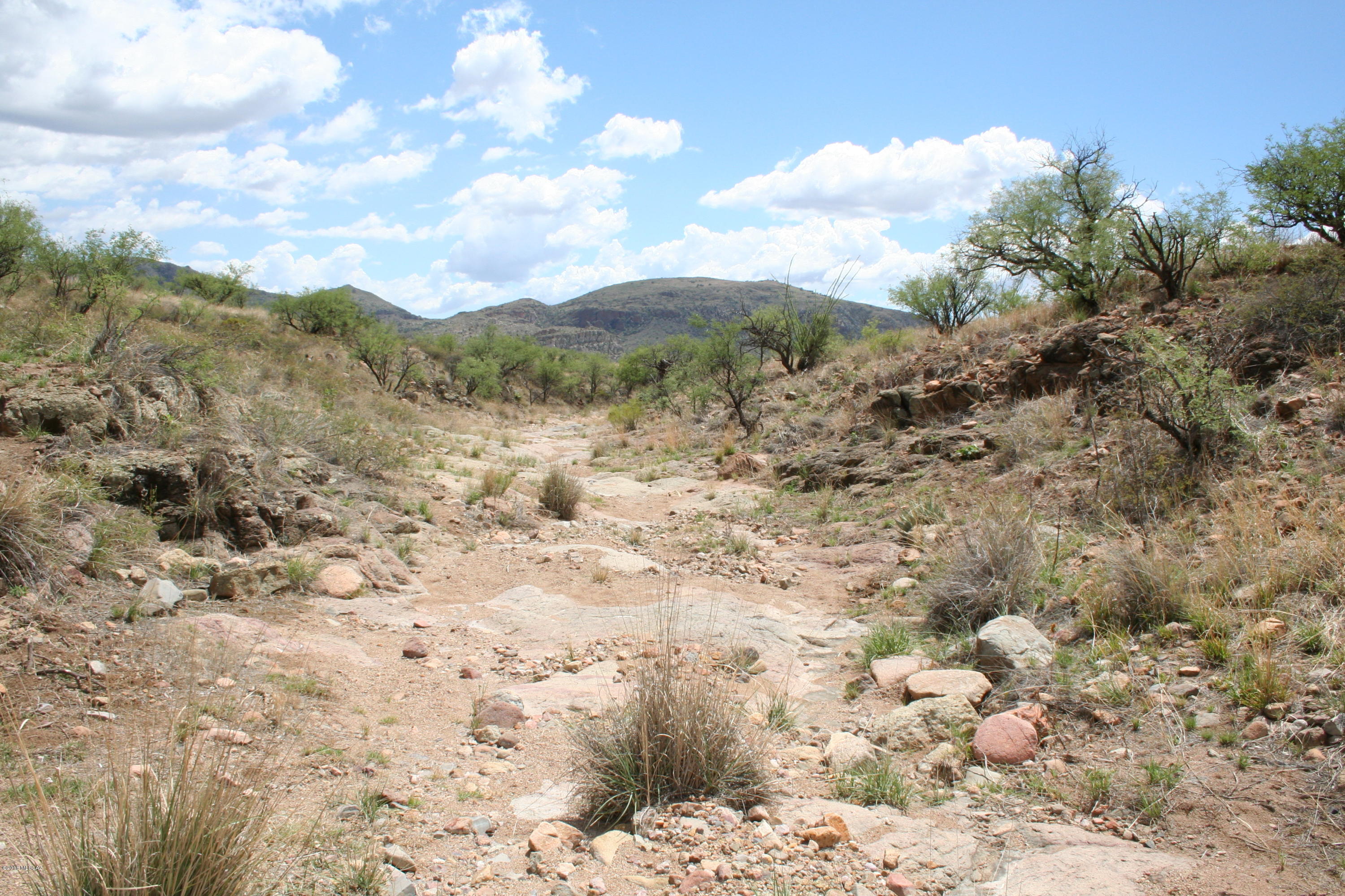 Salero Ranch - Land