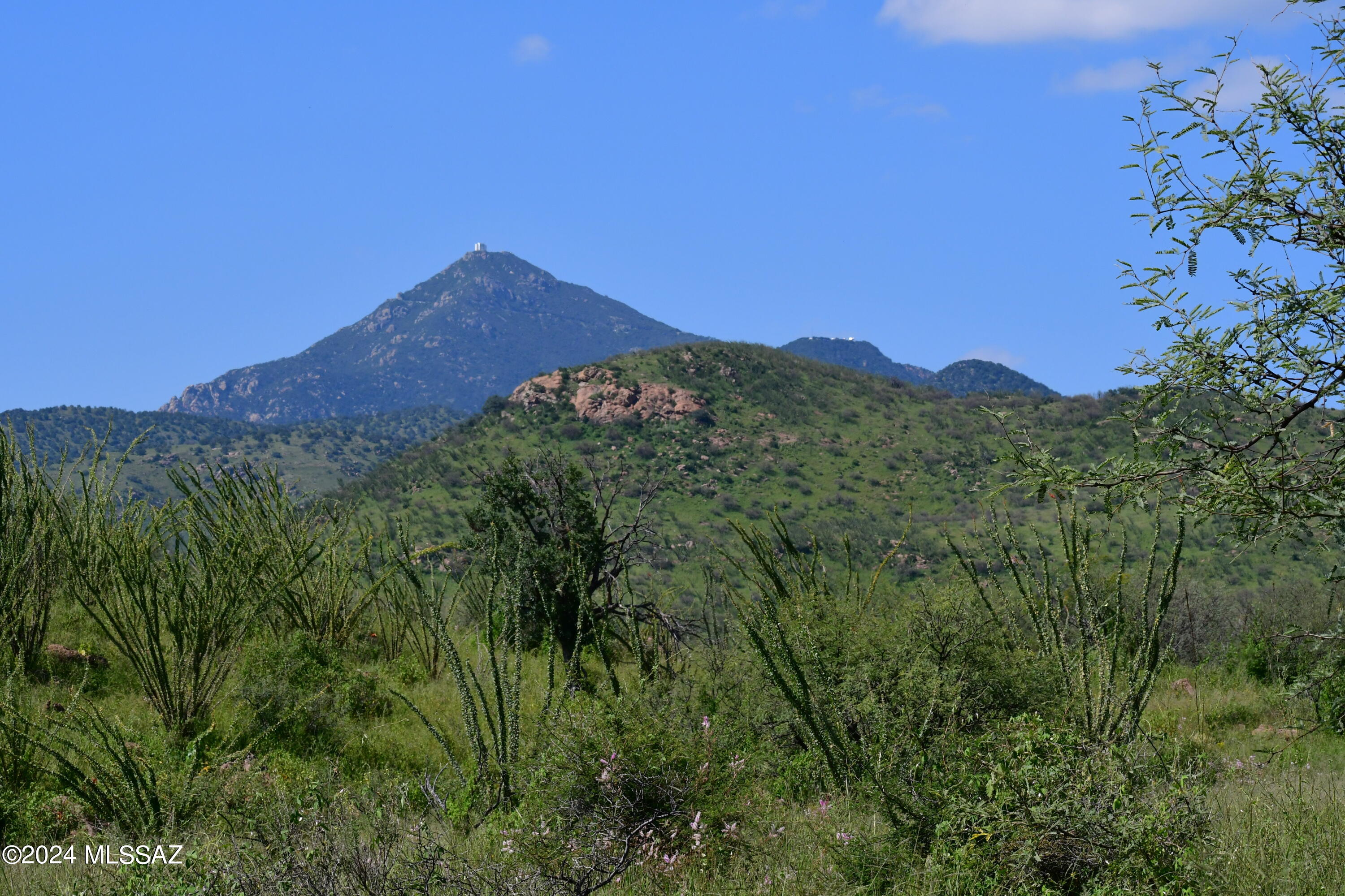 Salero Ranch - Land