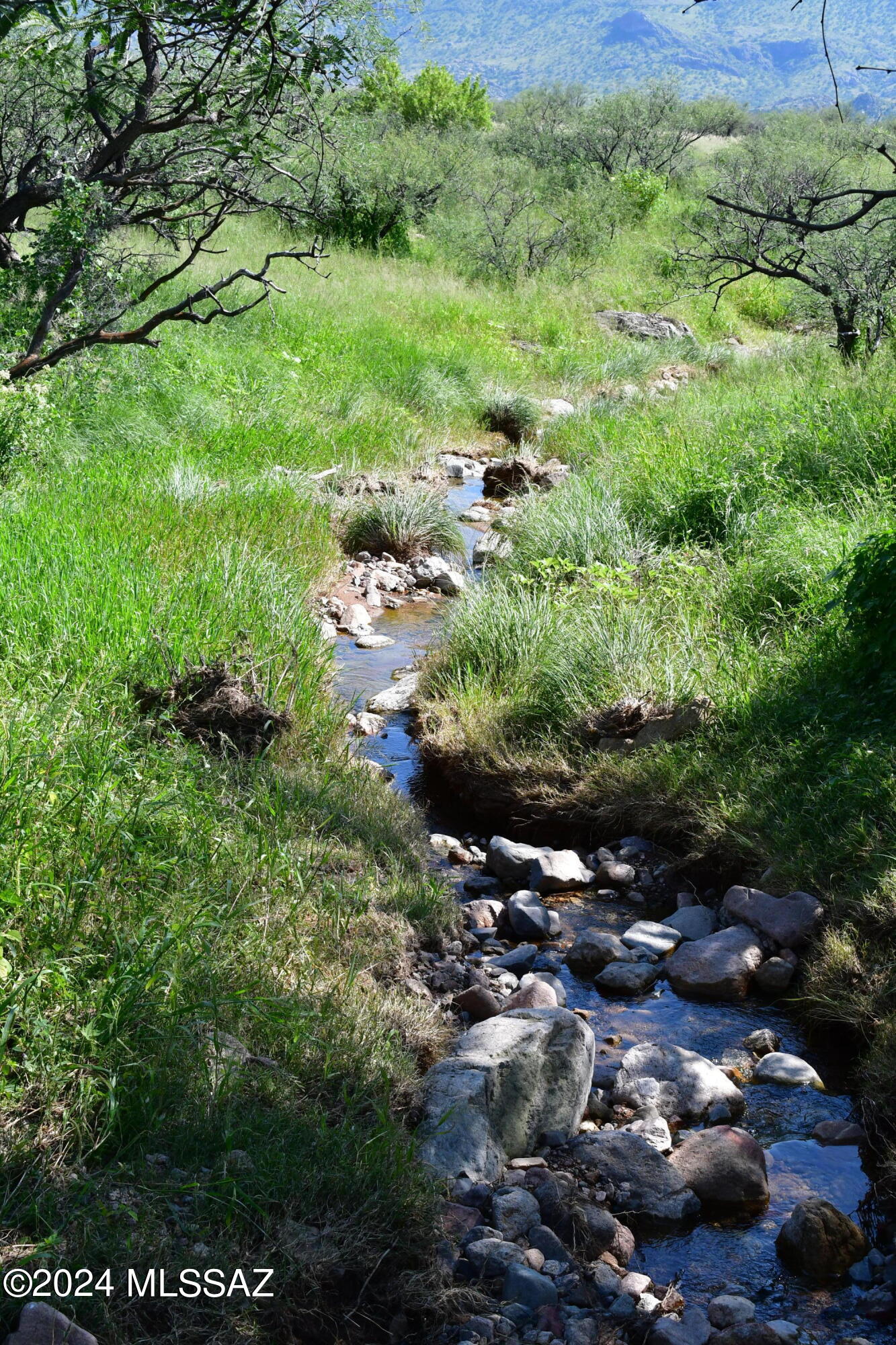 Salero Ranch - Land